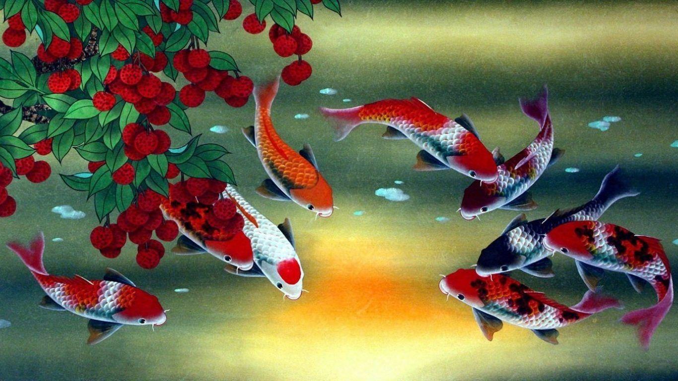  Animated  Koi  Fish  Wallpapers  Top Free Animated  Koi  Fish  