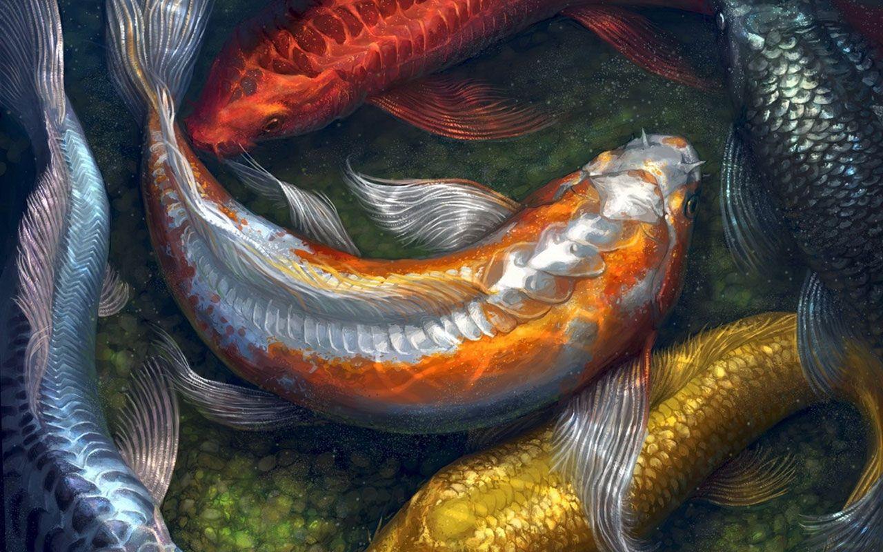 Animated Koi Fish Wallpapers - Top Free Animated Koi Fish Backgrounds