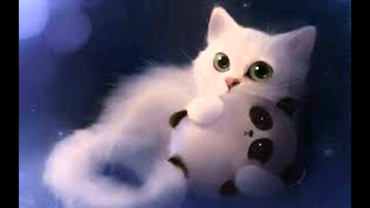 1280x720 SUBSCRIBER SPECIAL!: CUTE & FUNNY CAT WALLPAPERS!