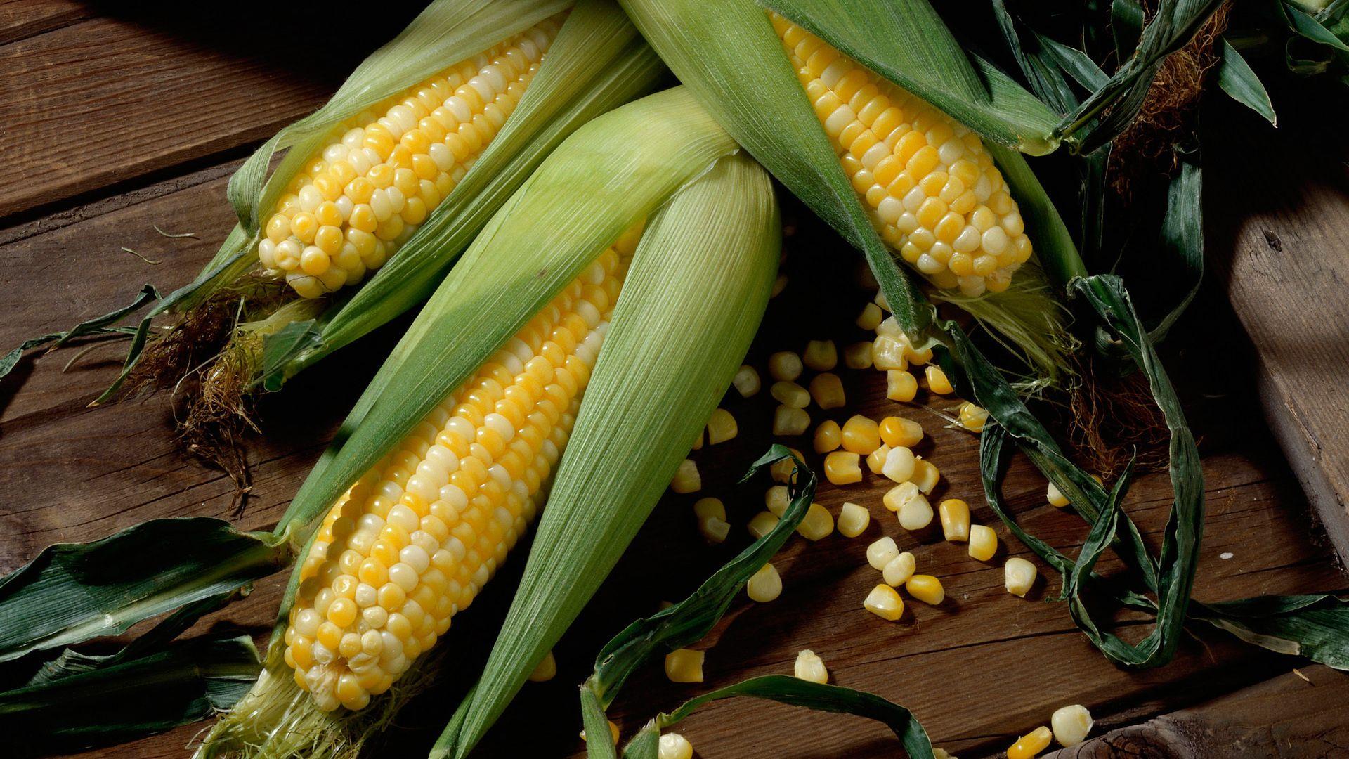 Pattern Corn Seamless Cute Corn Background For Banner Wall Wallpaper  Pattern Can Be Editable Eps File Etc Stock Illustration - Download Image  Now - iStock