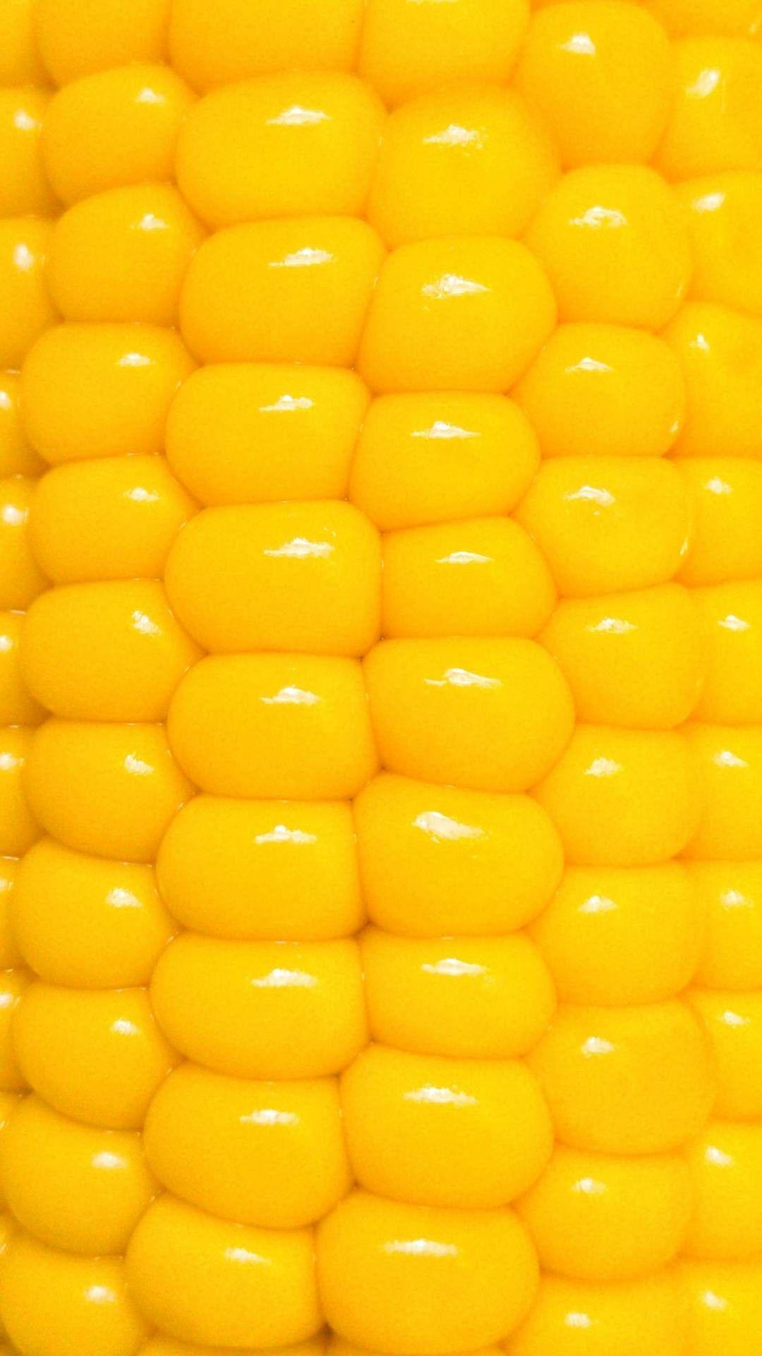 1,000+ Best Corn Photos · 100% Free Download · Pexels Stock Photos