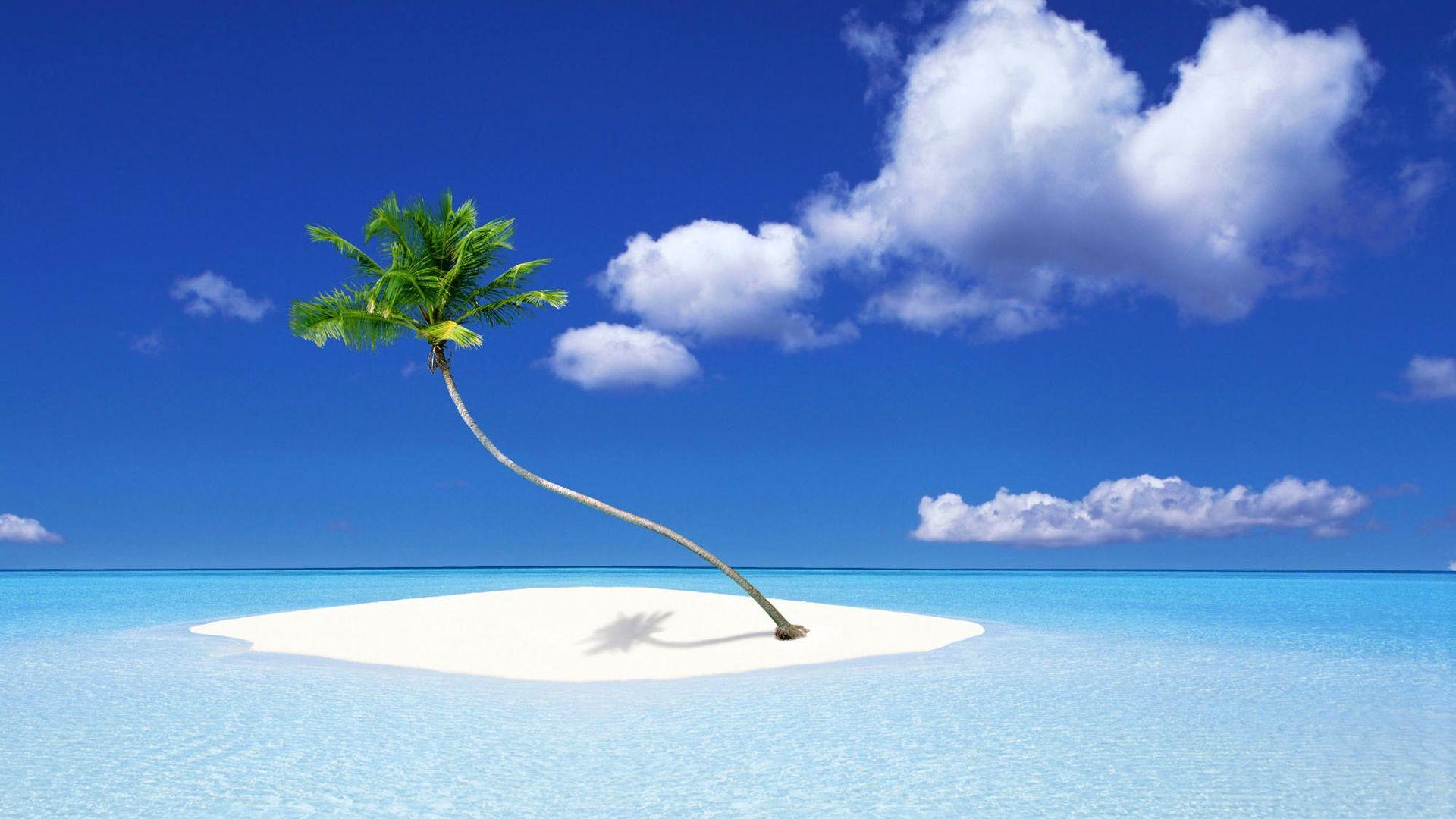 1920x1080 Beach Palm Tree Background, Nature Beach Palm Tree Background