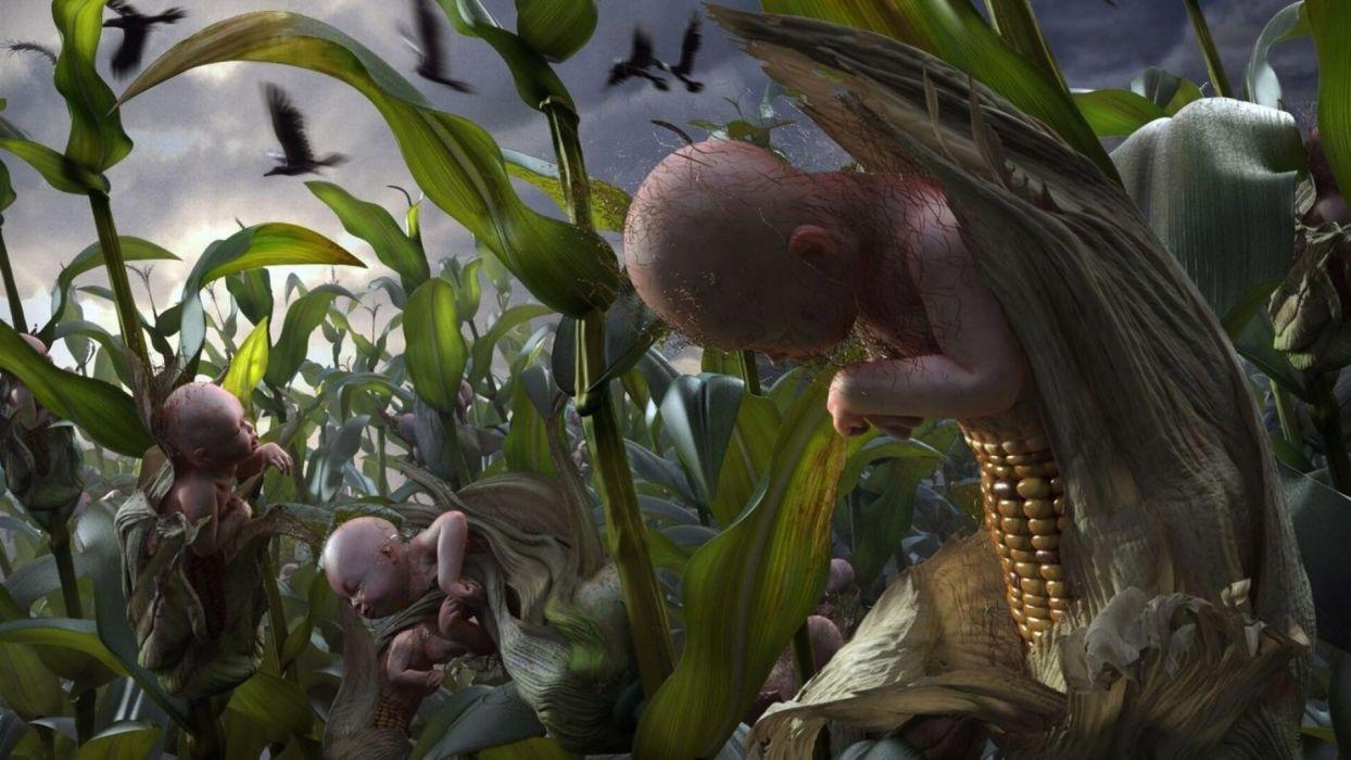 1244x700 CHILDREN OF THE CORN Horror Dark Children Corn G Wallpaper