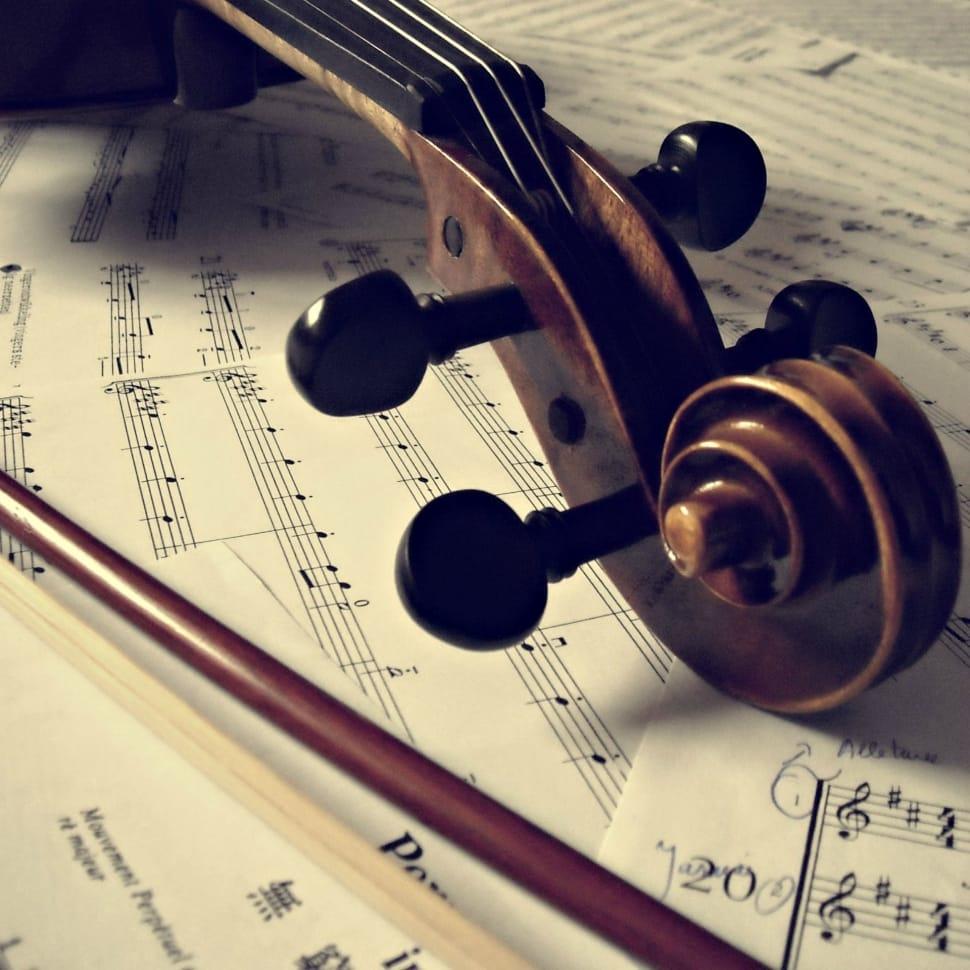 970x970 brown and black violin head stock free image