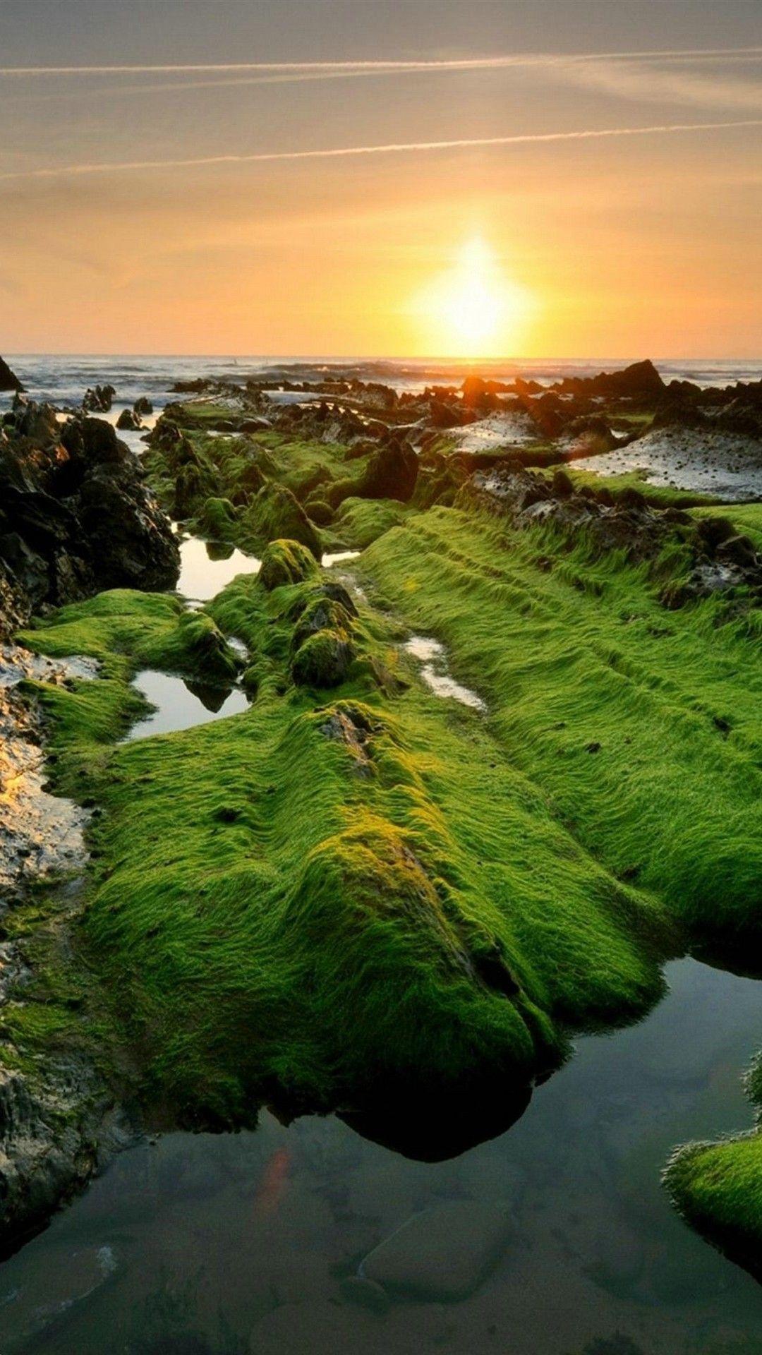 Pretty Nature Wallpapers - Top Free Pretty Nature Backgrounds ...
