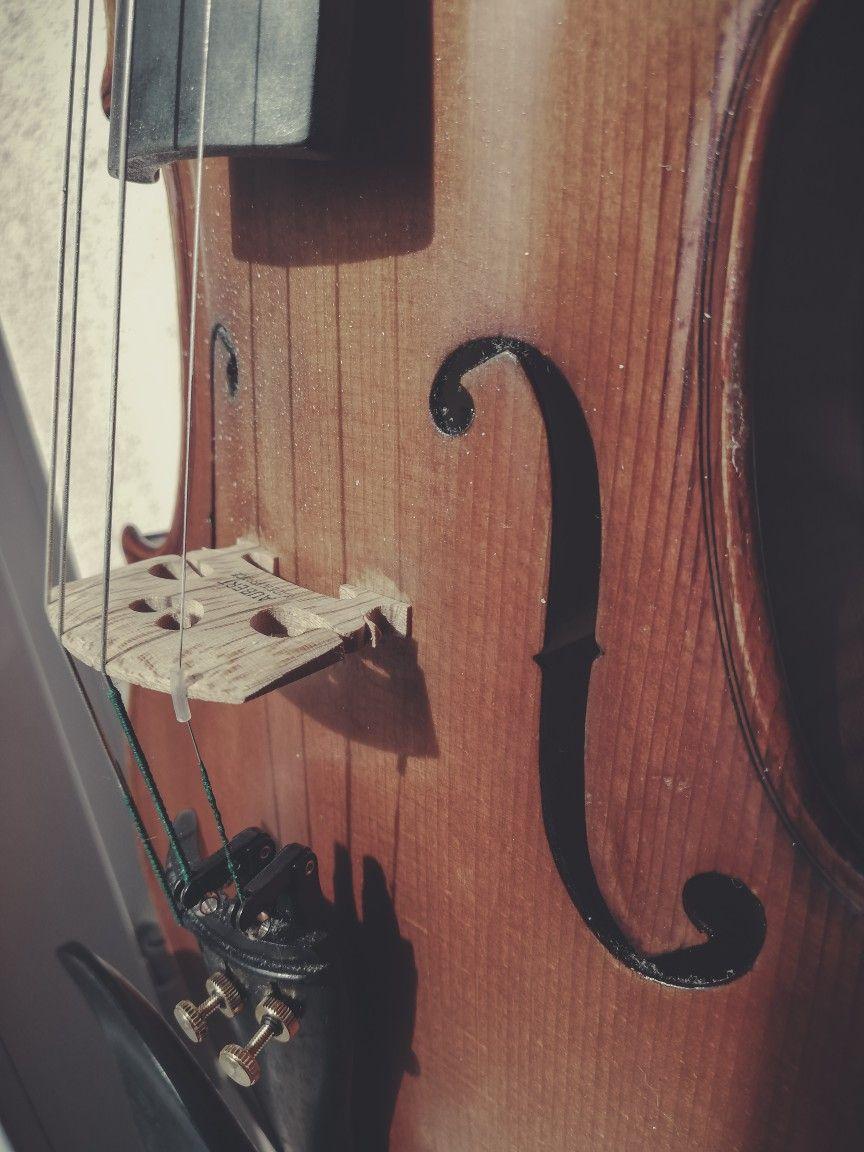 Viola Wallpapers - Top Free Viola Backgrounds - WallpaperAccess