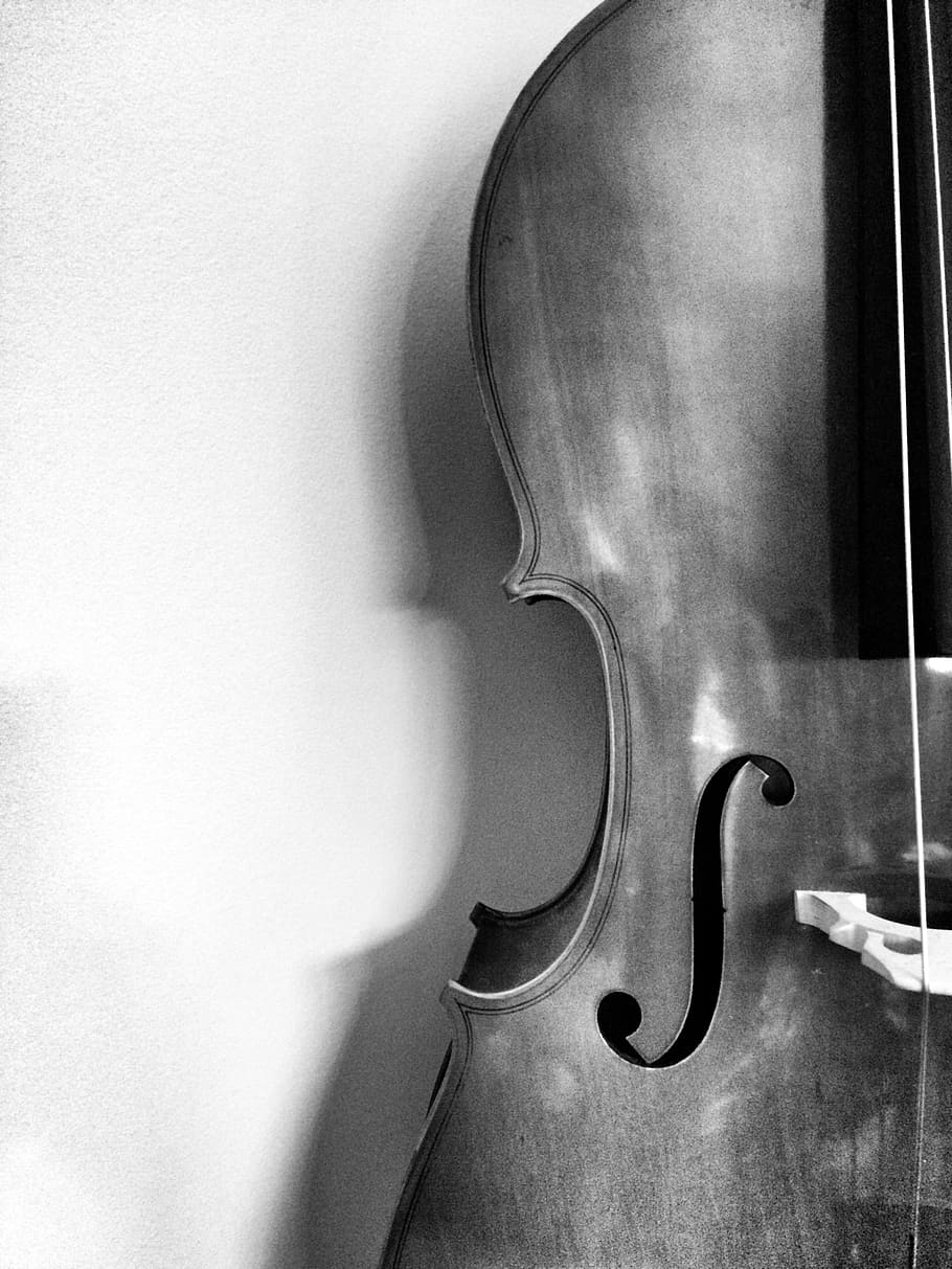 910x1213 musical instruments, symphony, orchestra, strings, cello, indoors