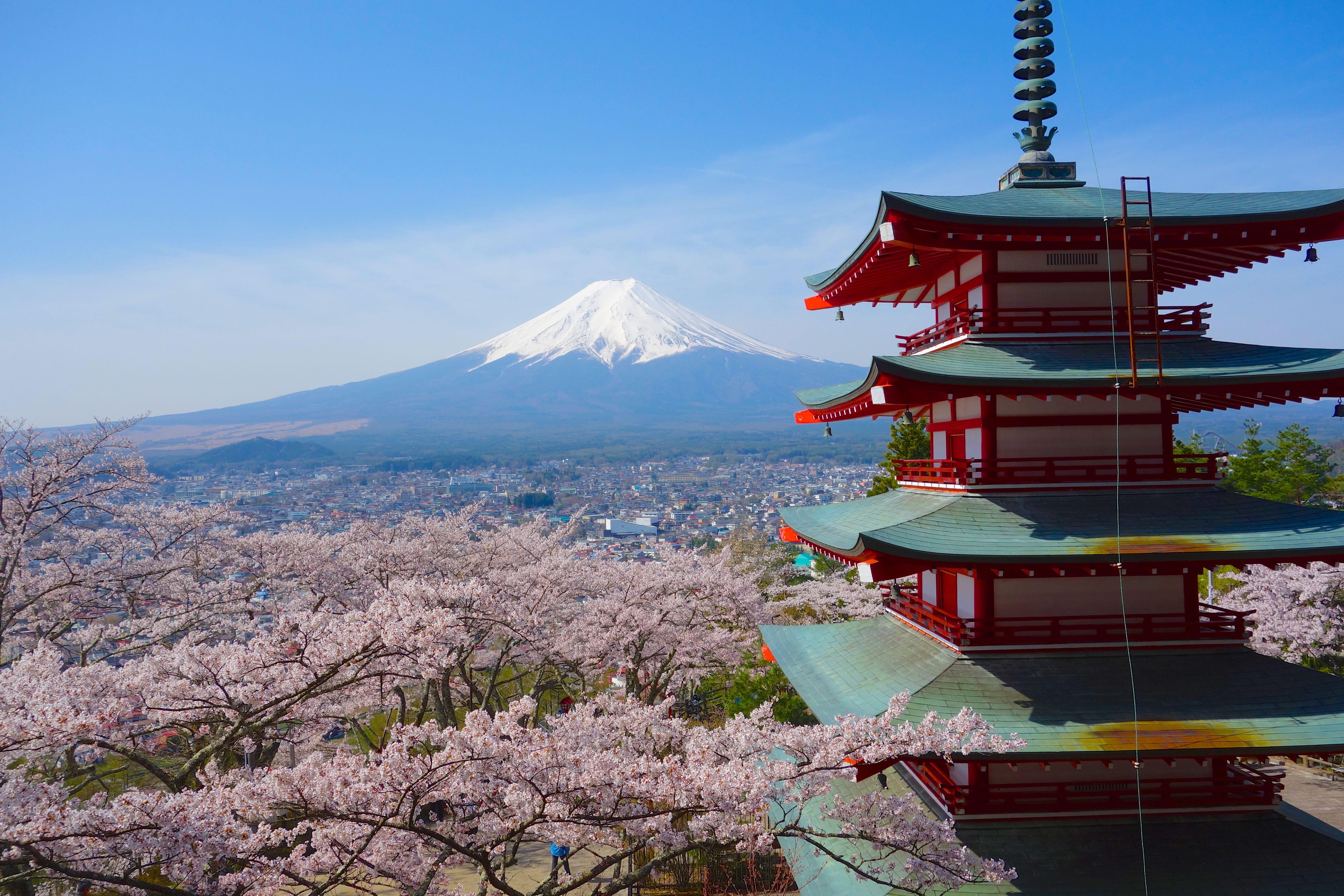 Japanese Pagoda With Wisteria