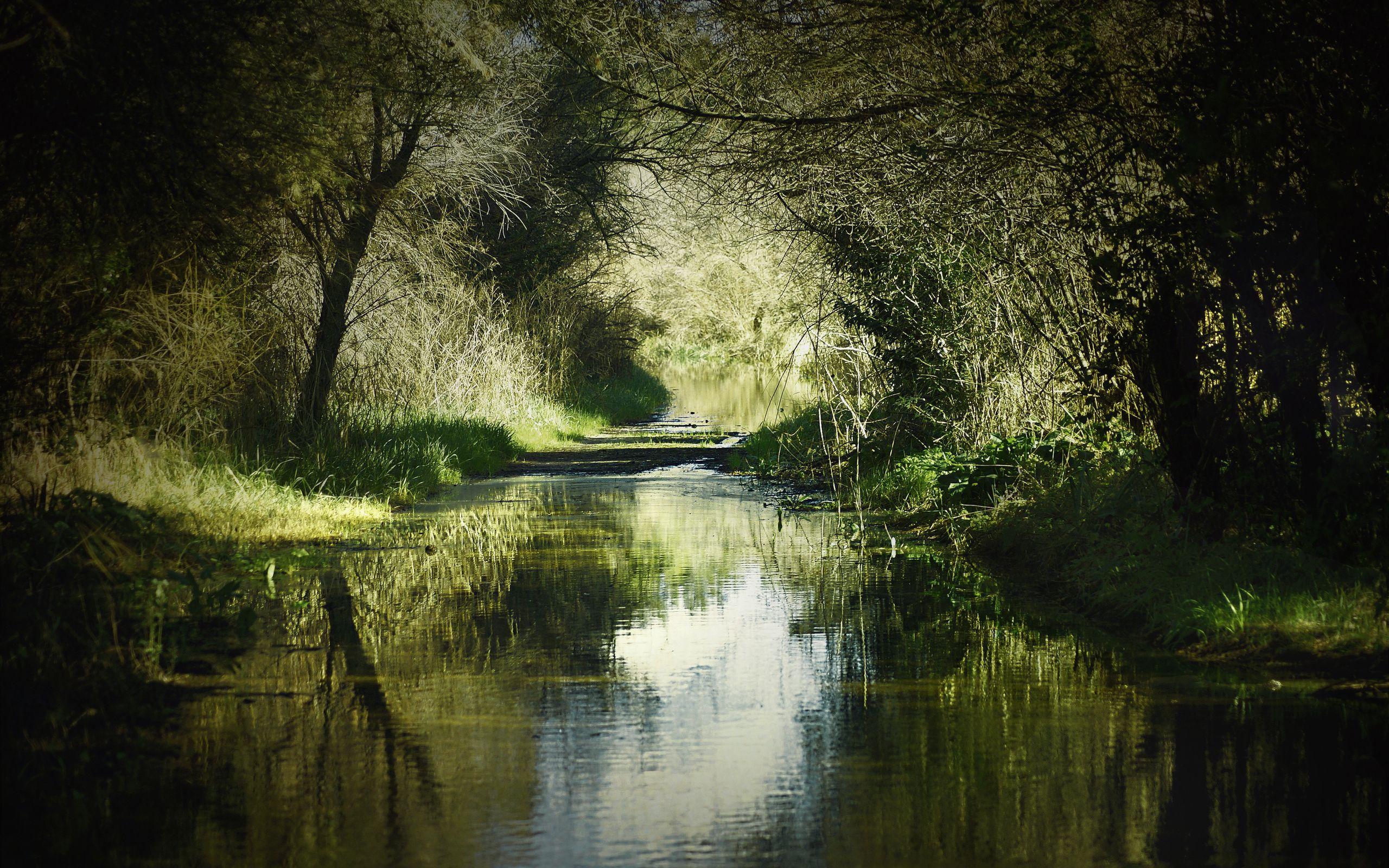 2560x1600 Mysterious River Channel Wallpaper