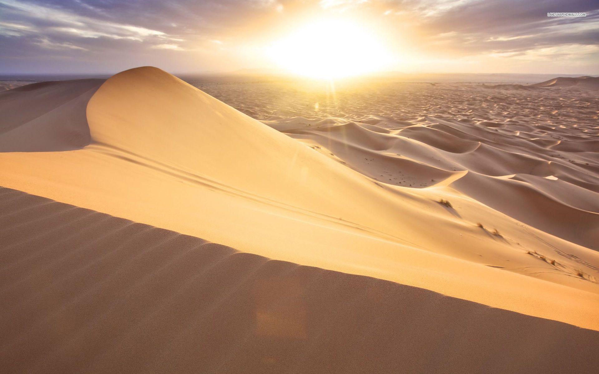 1920x1200 HD Dunes Wallpaper