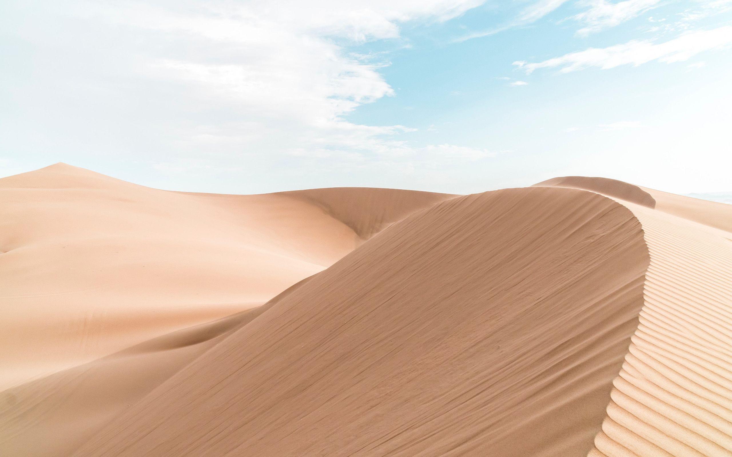 2560x1600 Download wallpaper: On the sand dunes from Huacachina, Peru 2560x1600