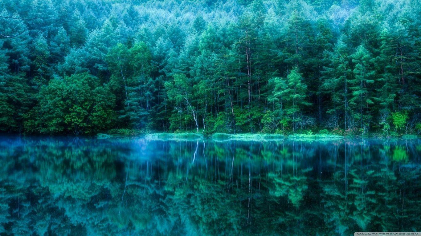 1366x768 Japan Pond Forest ❤ 4K HD Desktop Wallpaper for 4K Ultra HD TV
