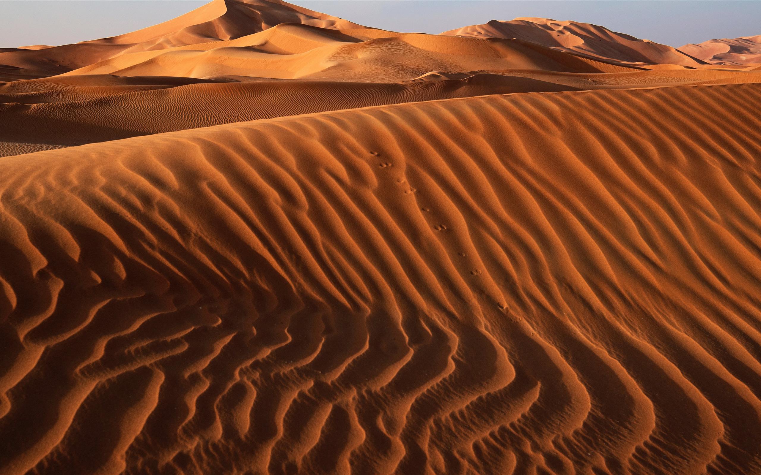 2560x1600 sand dunes during daytime MacBook Air Wallpaper Download