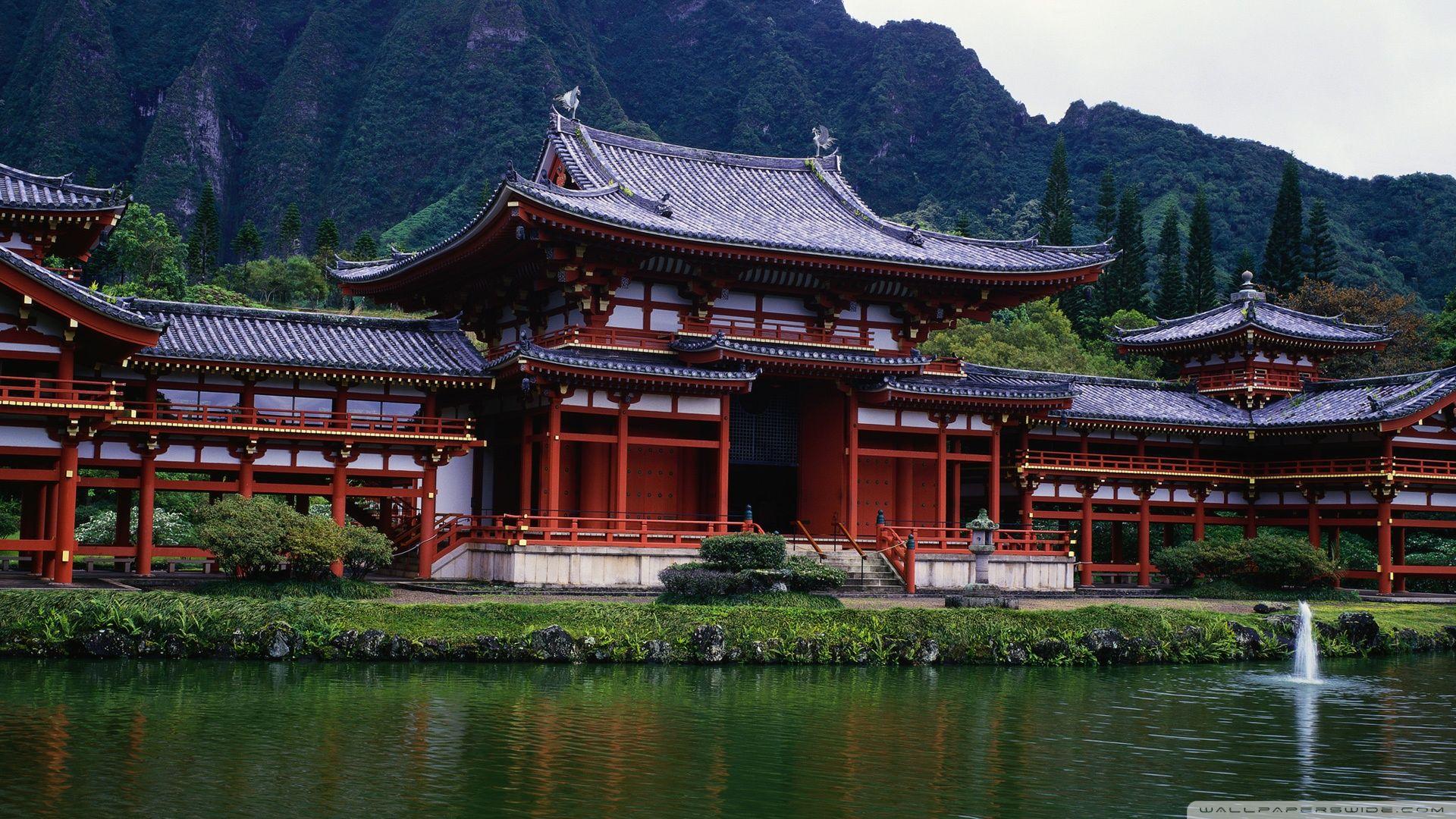 The Treetop Temple Protects Kyoto  Nature desktop, Nature desktop