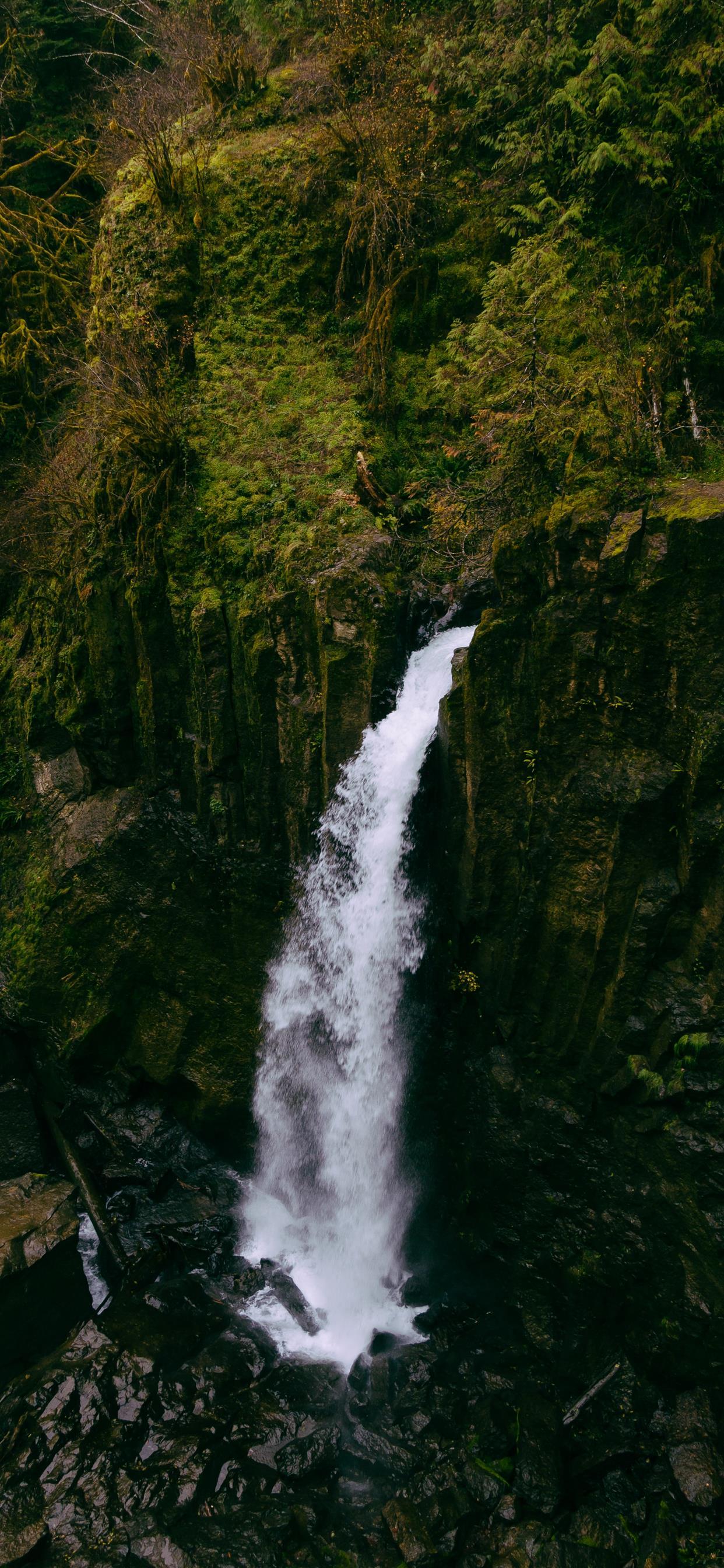 1242x2688 Drift Creek Falls Lincoln City Oregon United St. iPhone X