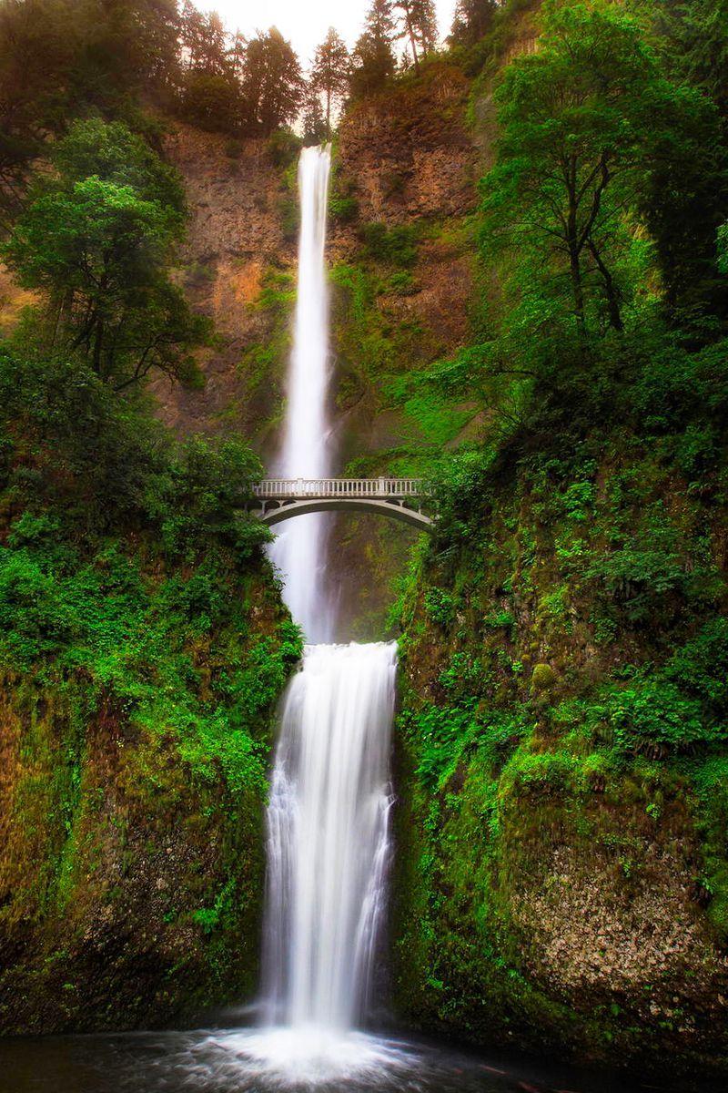 Oregon iPhone Wallpapers - Top Free Oregon iPhone Backgrounds ...