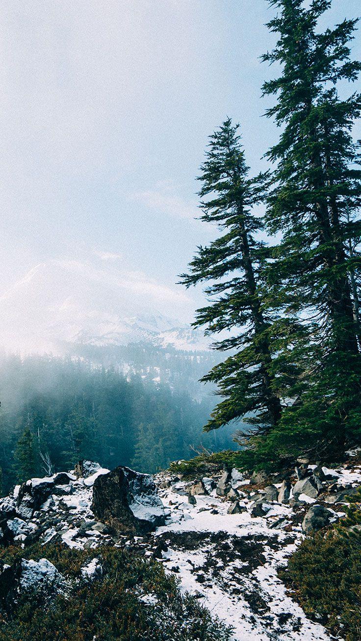 736x1308 Adventurous Forest & Mountain iPhone 7 Wallpaper part 2