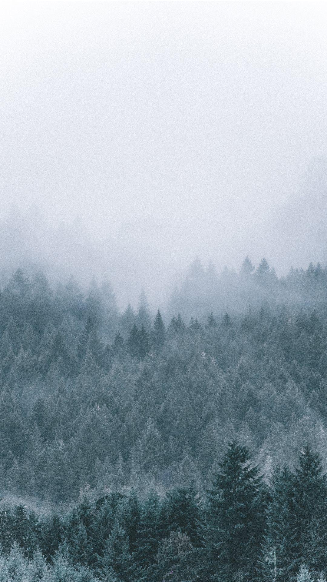 1080x1920 Best oregon iPhone 8 Wallpaper HD