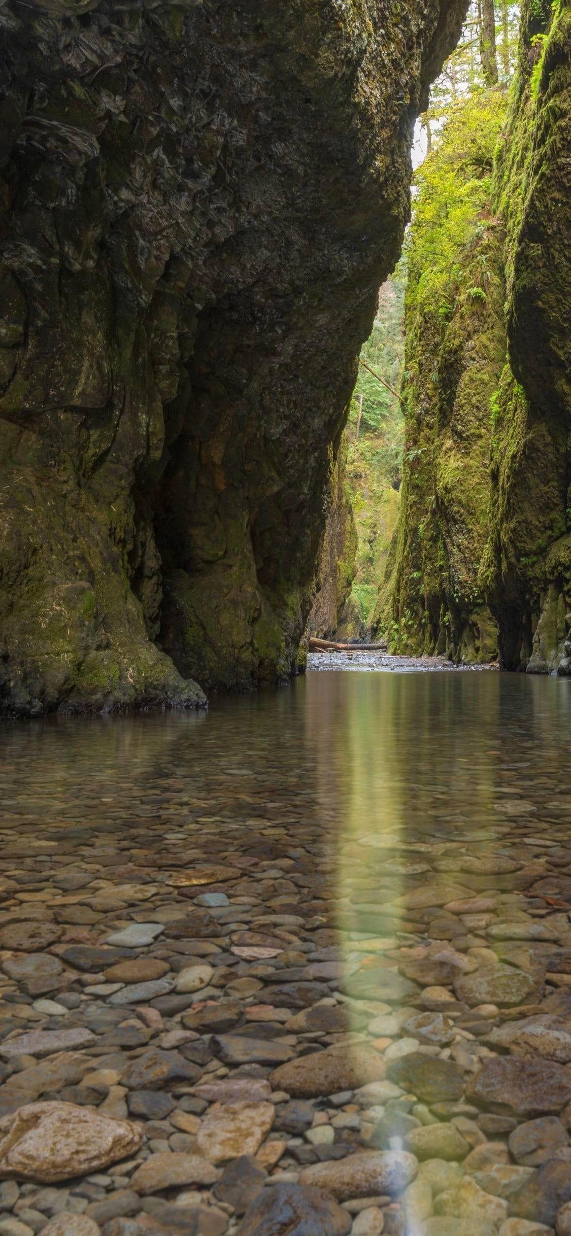 1125x2436 Oregon. iPhone X Wallpaper X Wallpaper HD