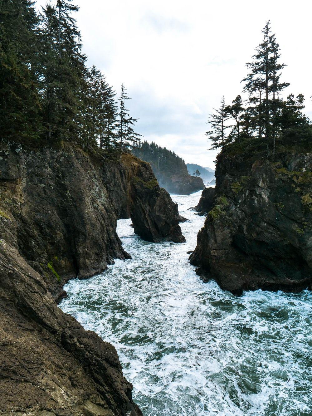 1000x1333 Oregon, USA Picture. Download Free Image