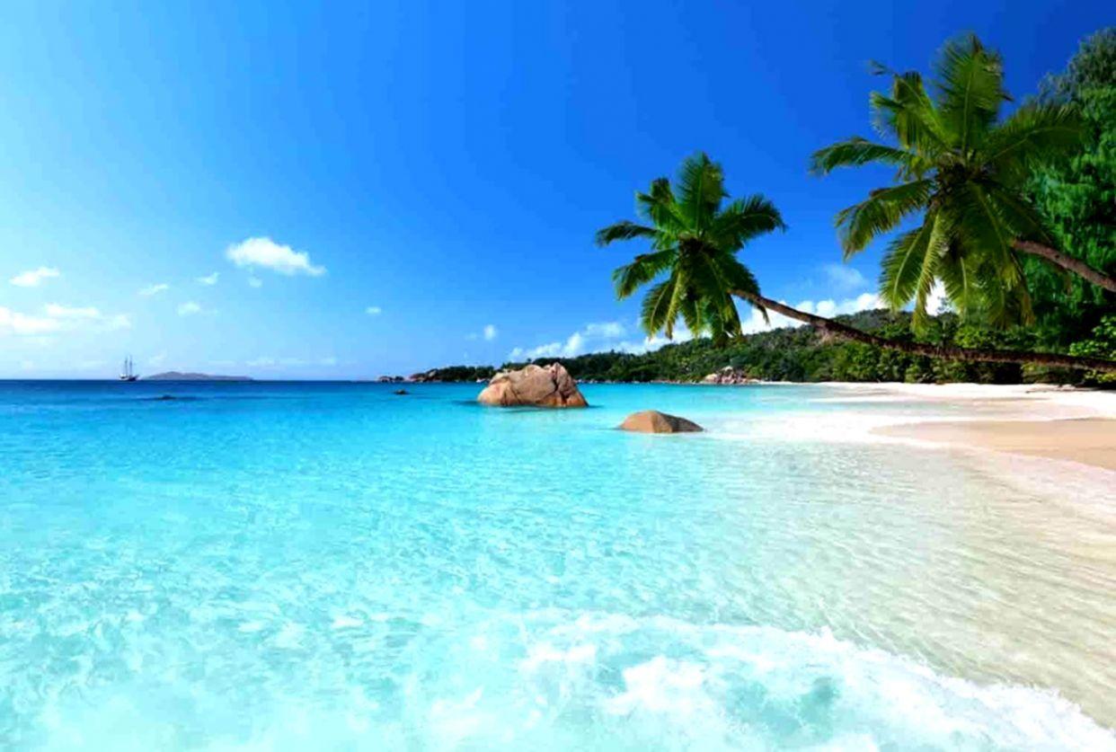 1242x837 Ocean Beach. Best Wallpaper HD Collection