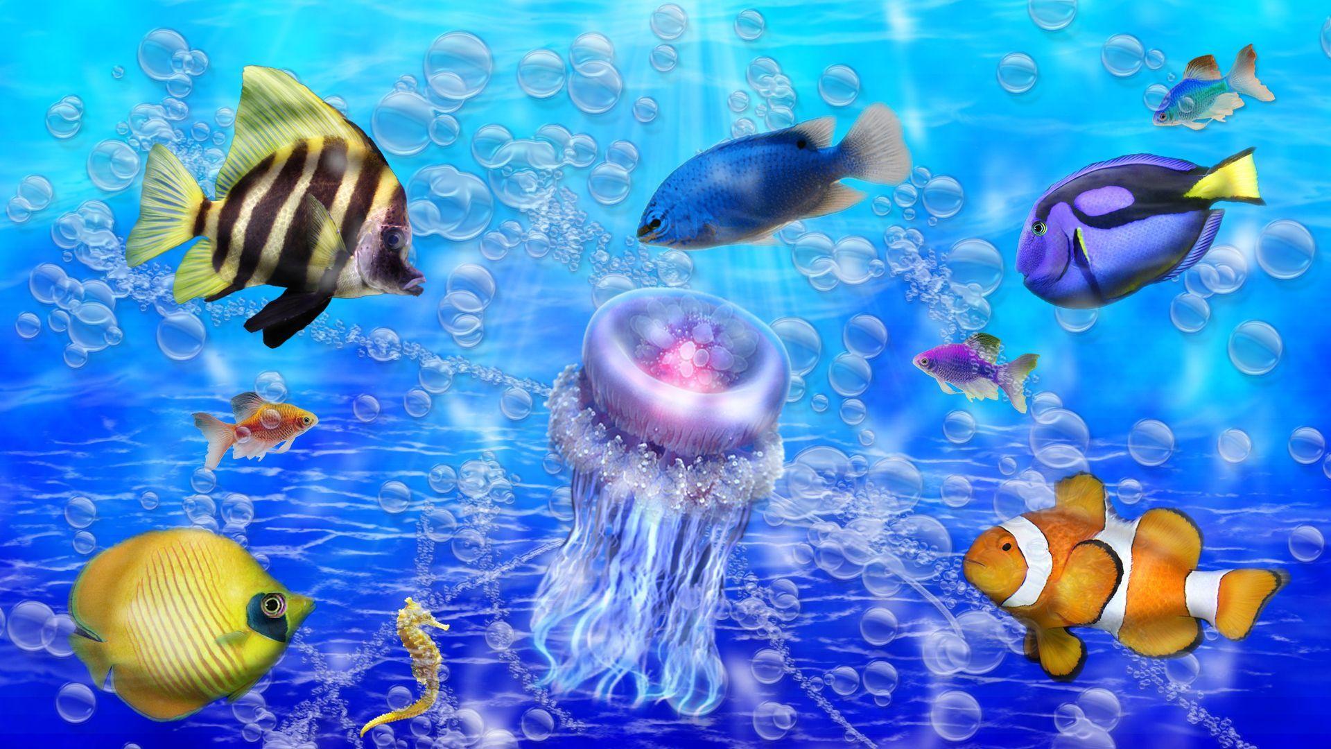 Ocean Fish Wallpapers - Top Free Ocean Fish Backgrounds - WallpaperAccess