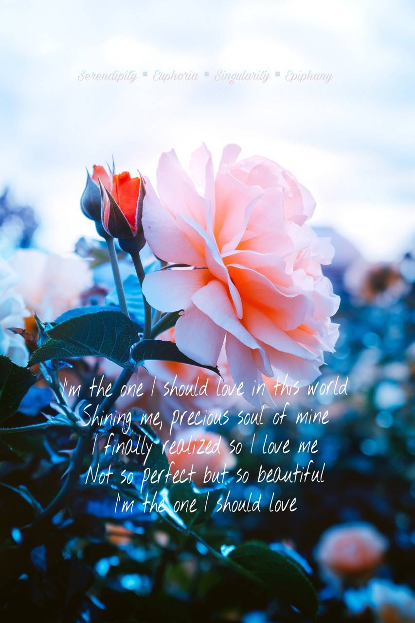 853x1280 Epiphany wallpaper wallpaper