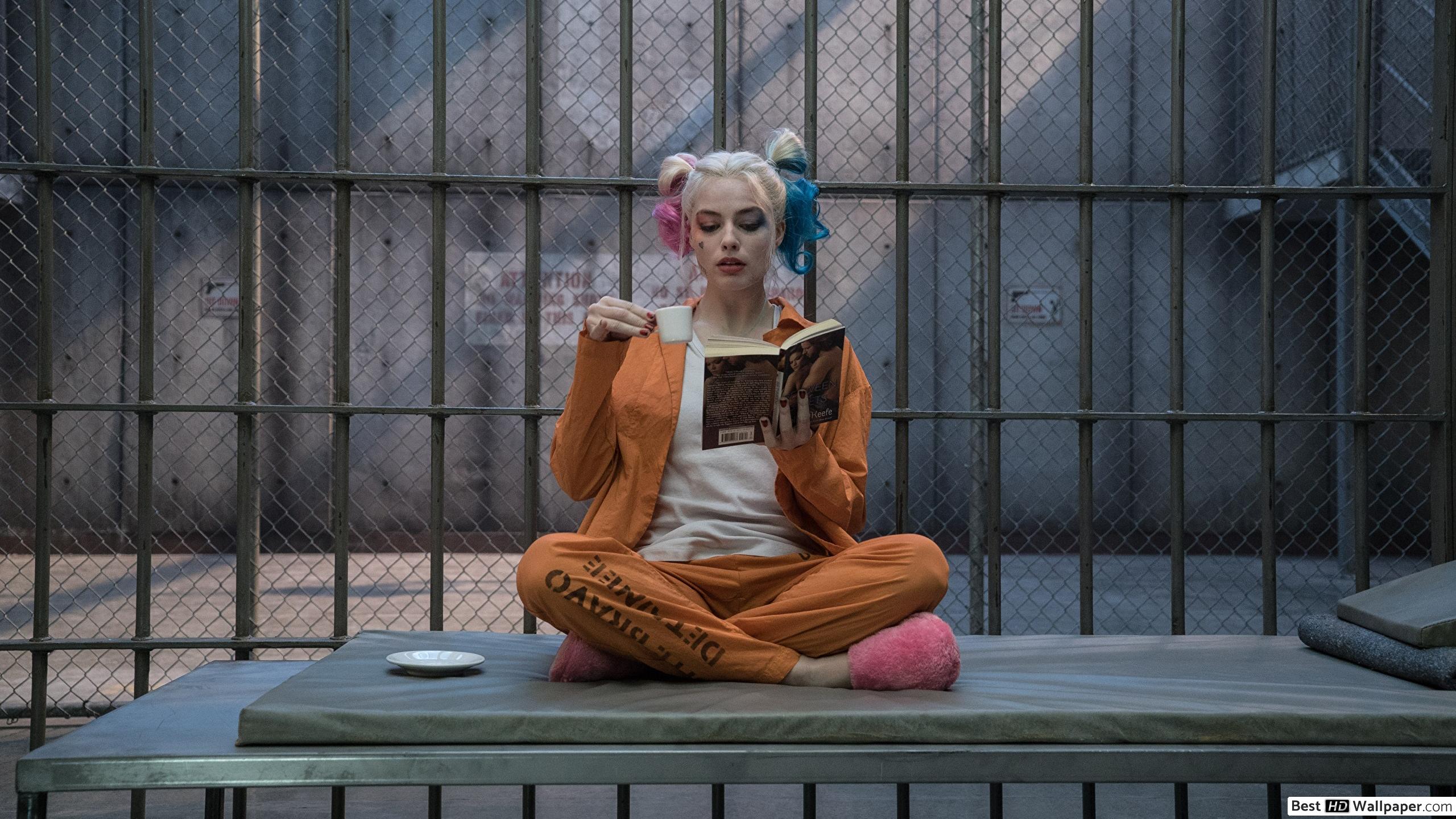 2560x1440 Suicide Squad movie Quinn in prison HD wallpaper download