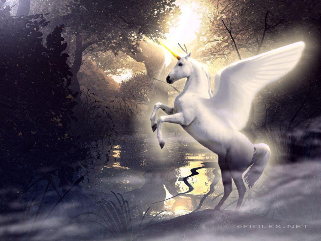 1024x768 Free download unicorns 27 cool HD wallpaper 1280x960 342 93 kb jpg