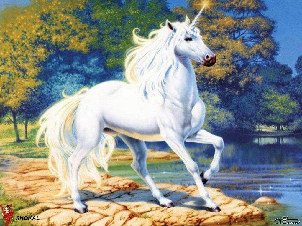 1024x768 White unicorn illustration, fantasy art, unicorn HD wallpaper