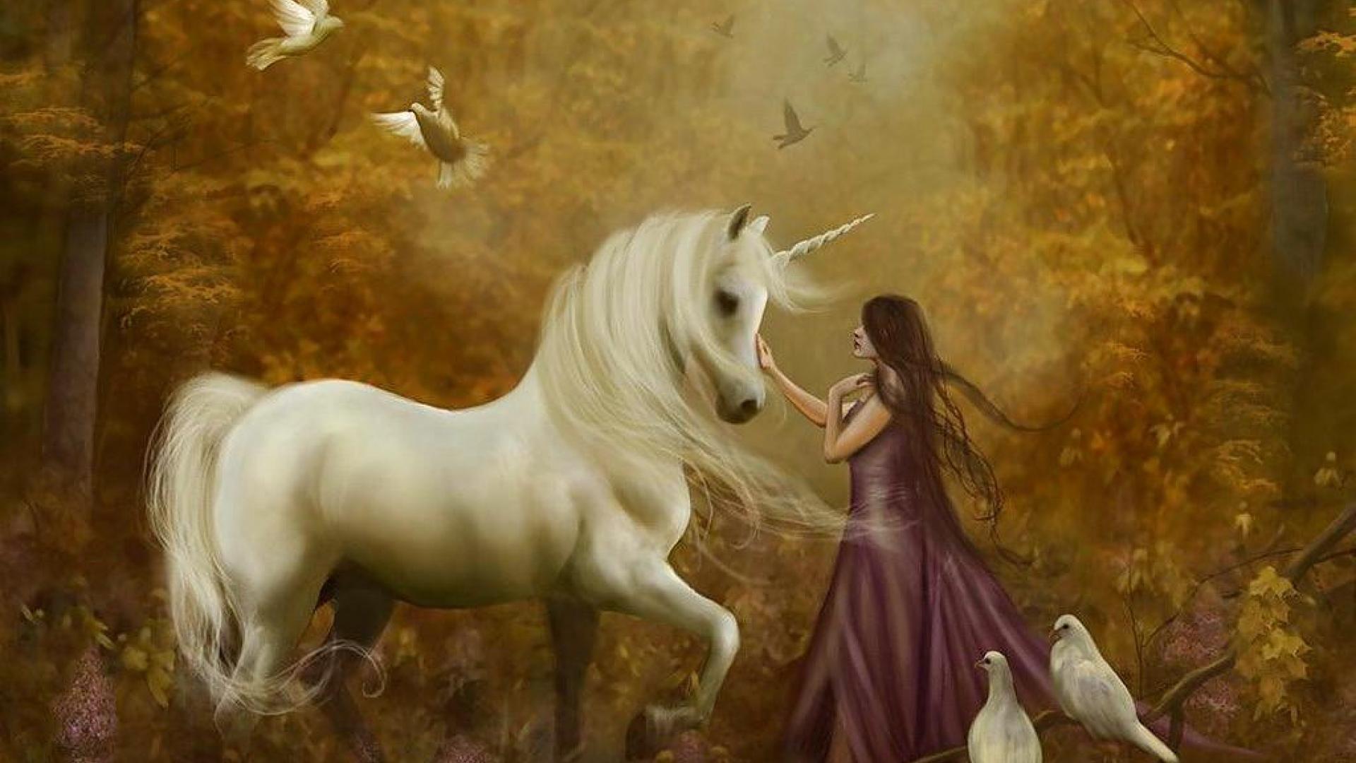 1920x1080 white unicorn. Unicorn Wallpaper Hd: White Unicorn Wallpaper HD