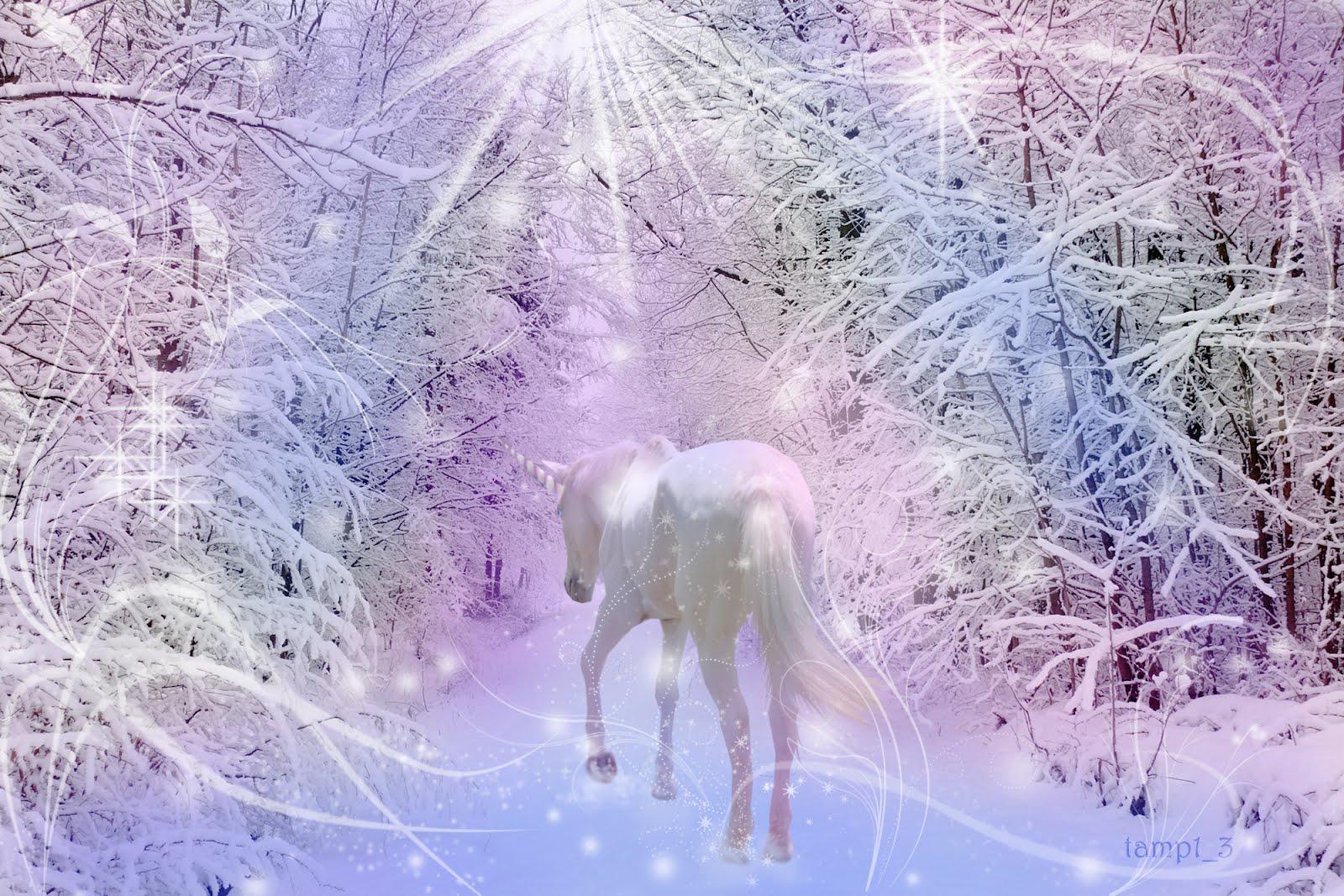1600x1067 Snow Unicorn Wallpaper. Unicorn