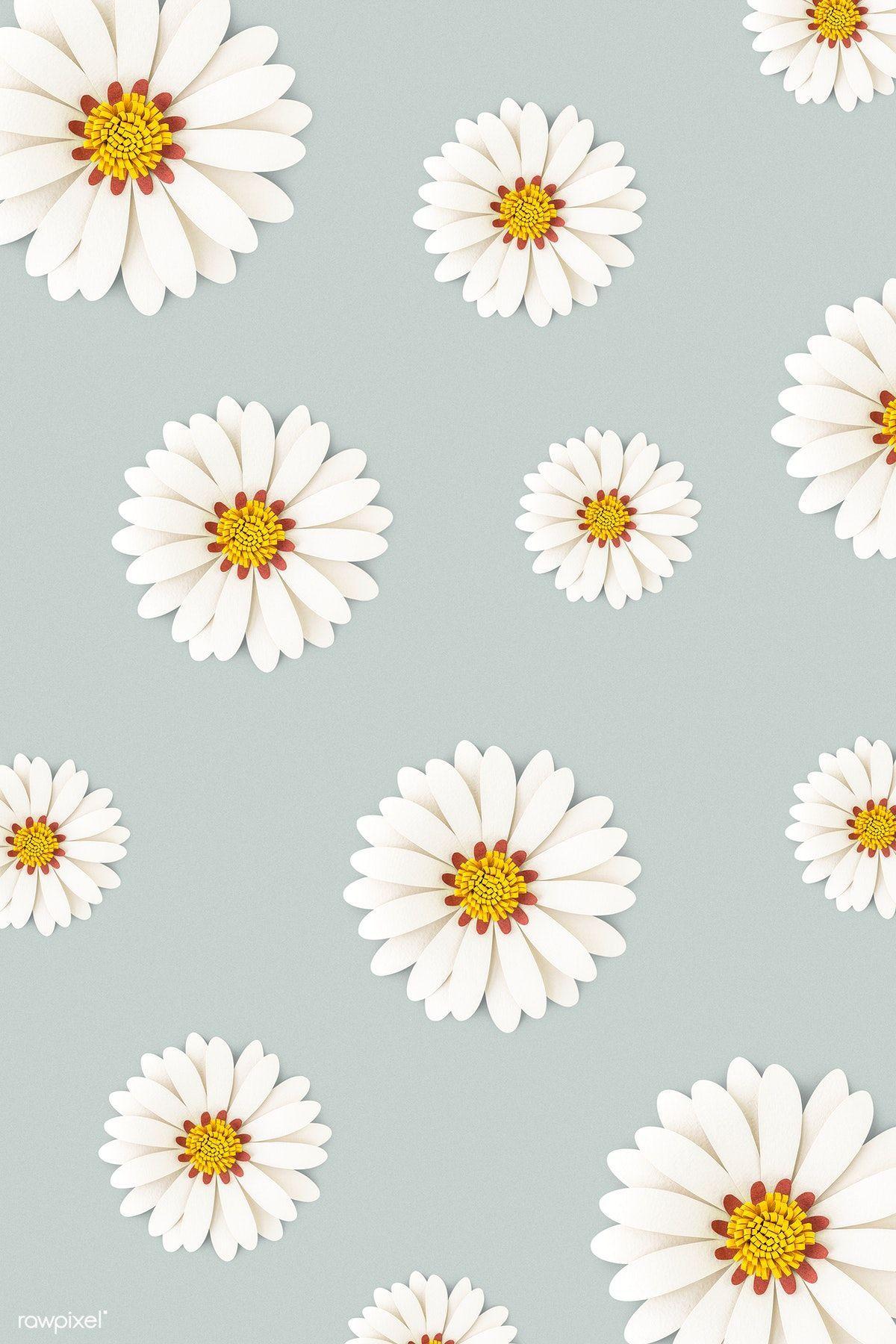 Best Daisy iPhone HD Wallpapers  iLikeWallpaper