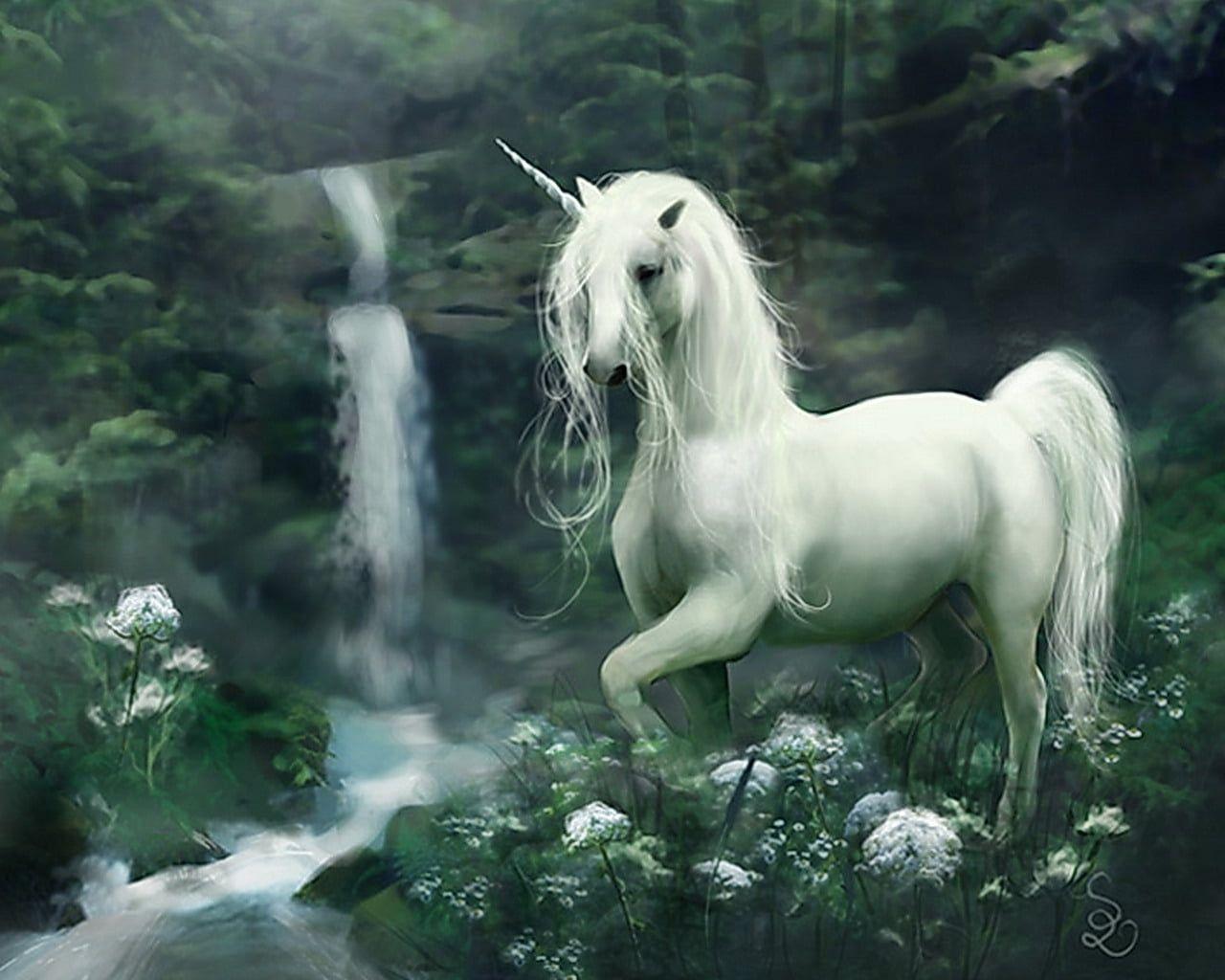 1280x1024 Shallow focus photography of white unicorn HD wallpaper