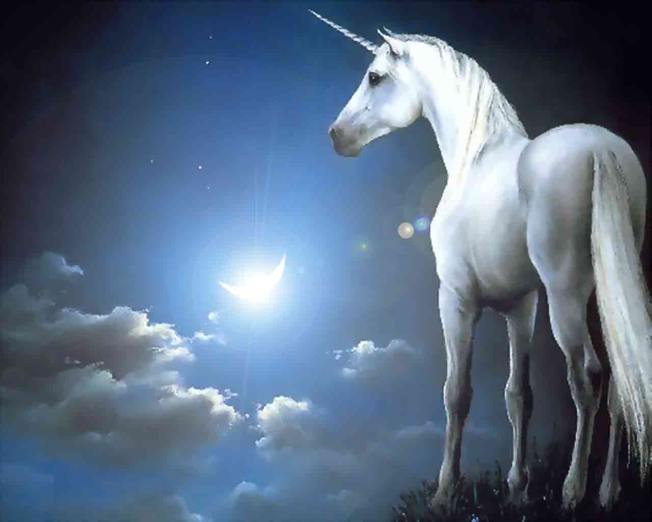 1280x1024 Unicorn Desktop Background