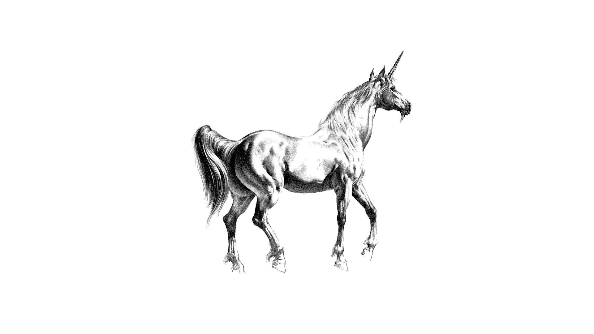 1920x1080 Unicorn wallpaper 1920x1080 Full HD (1080p) desktop background