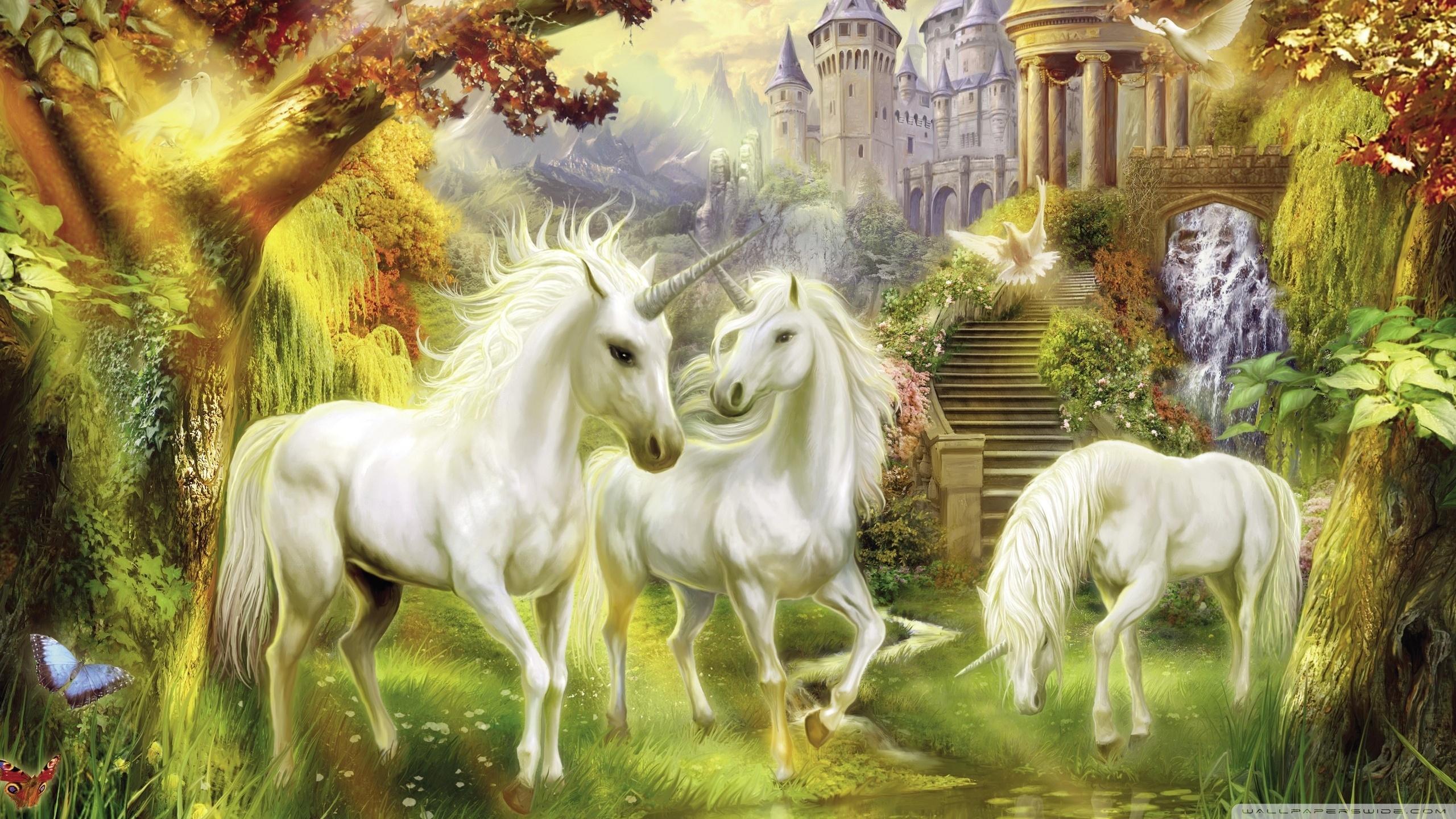 2560x1440 Unicorn Live Wallpaper for Android