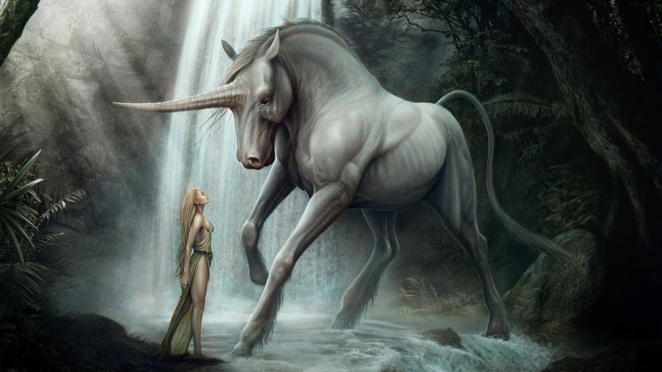 Dragon Unicorn Wallpapers Top Free Dragon Unicorn Backgrounds