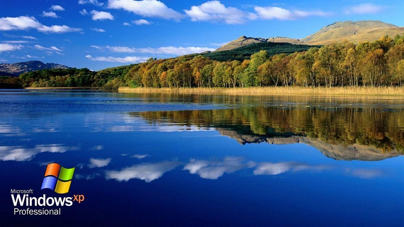 1366x768 Wallpaper X Cat Splendid Wallpape Windows Xp 1366x768