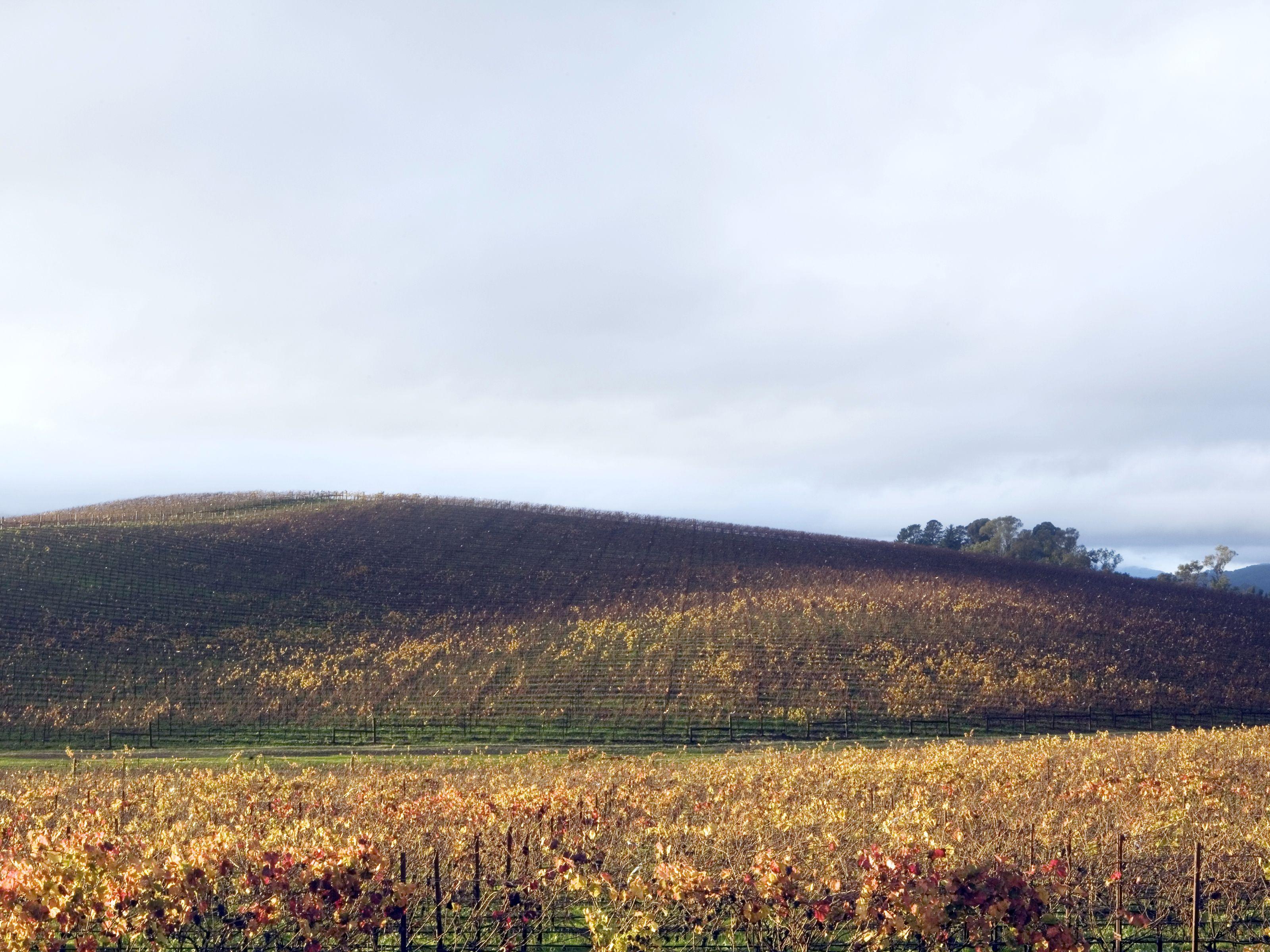 3200x2400 Relive Windows XP Nostalgia with Bliss HD Wallpaper