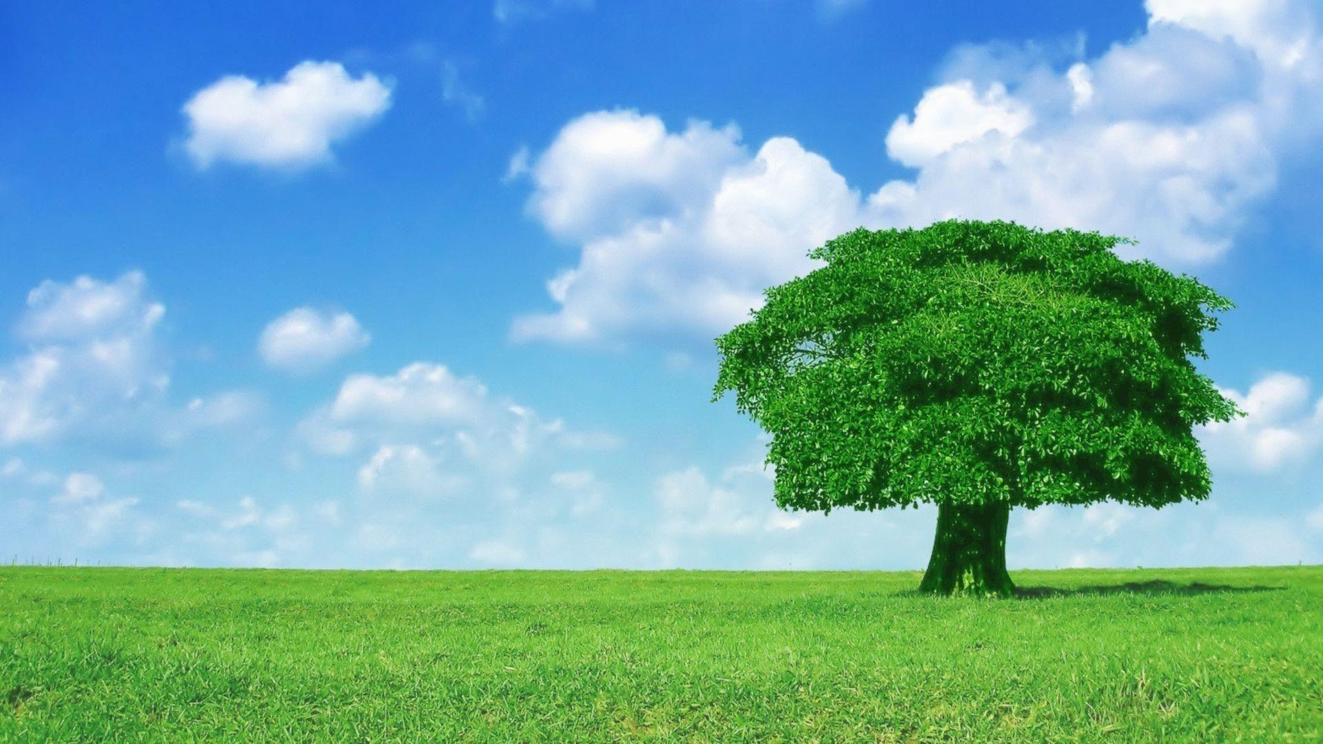 1920x1080 Hd Wallpaper Wallpaper Microsoft Windows Xp Blue Desktop