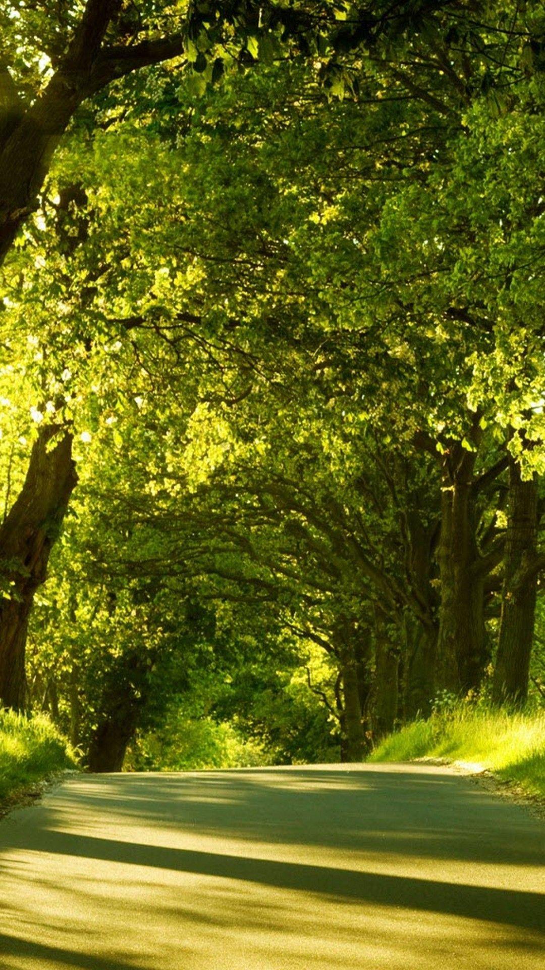 Nature Mobile Wallpapers Top Free Nature Mobile Backgrounds WallpaperAccess