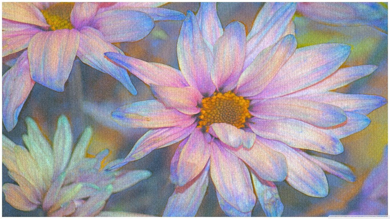 1366x768 Pastel ❤ Hình nền máy tính HD 4K cho TV 4K Ultra HD