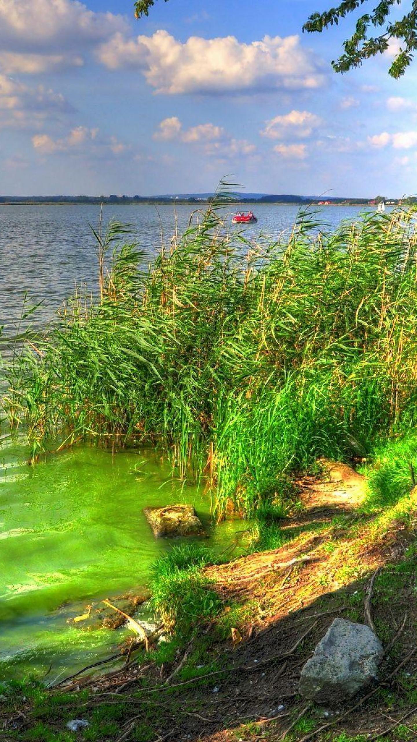 1440x2560 Beautiful Wallpaper Of Nature For Mobile Wsc05nm
