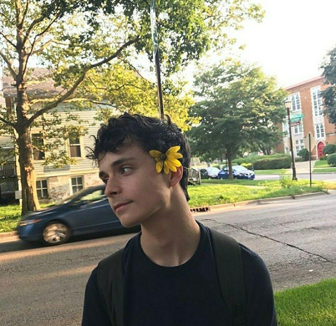 1080x1049 awae, gilbert blythe, lucas zumann and art