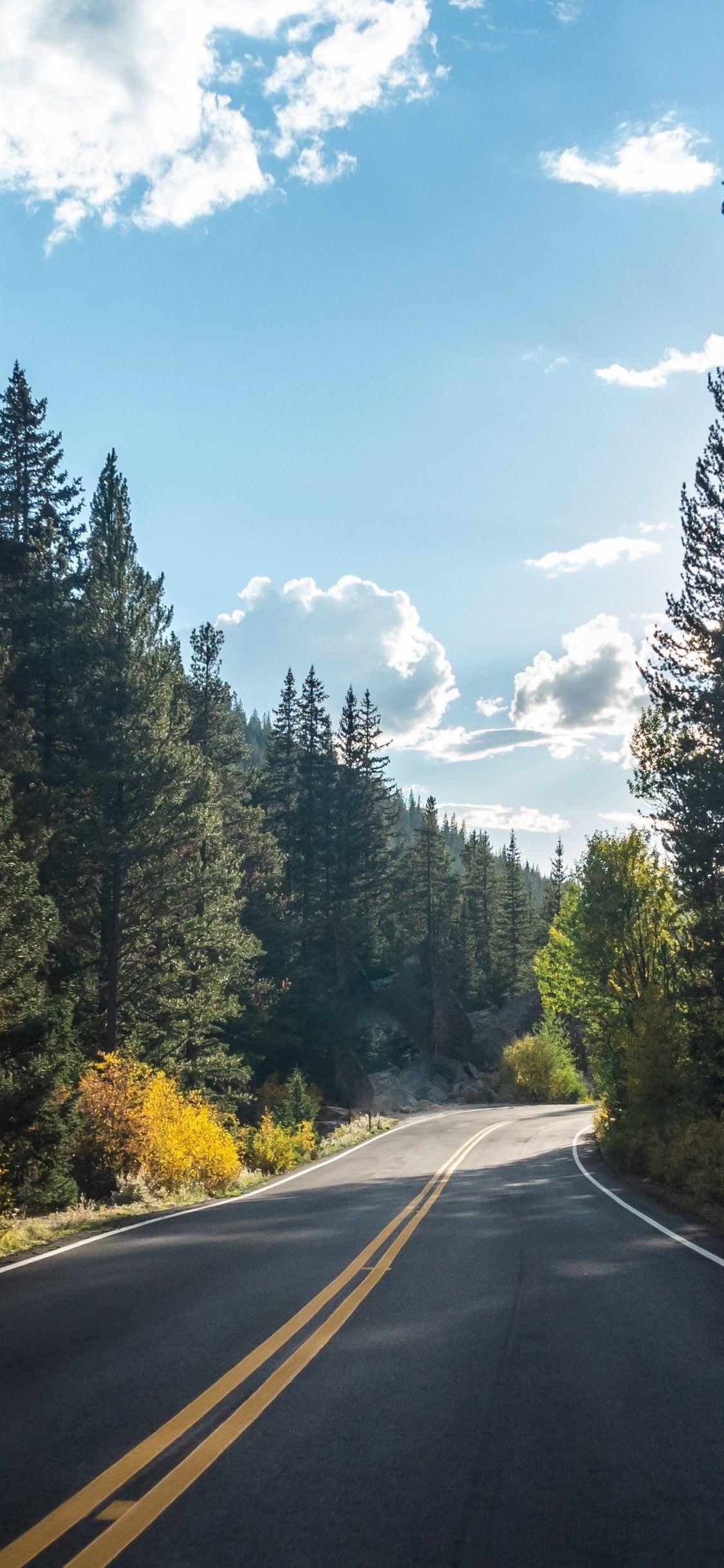 1125x2436 Forest Road Asphalt Landscape 5k iPhone XS, iPhone 10
