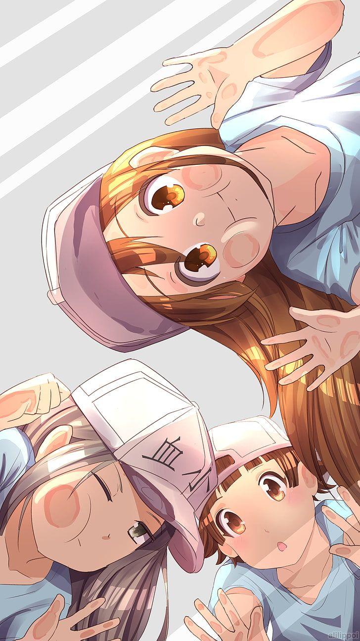 728x1295 HD wallpaper: Hataraku Saibou, anime girls, cells, loli, blonde, Platelet- chan