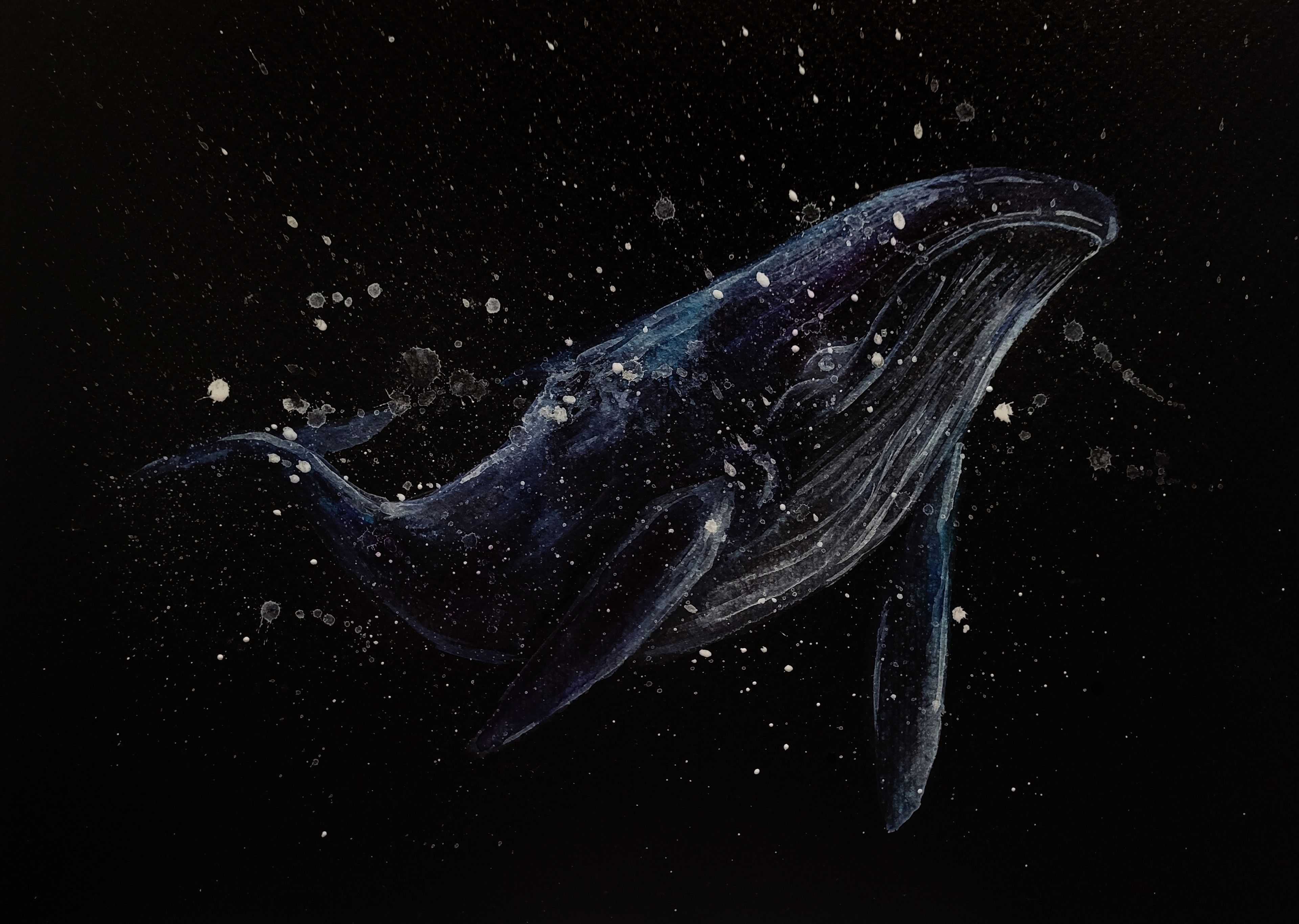 3840x2733 Alex Anokhina