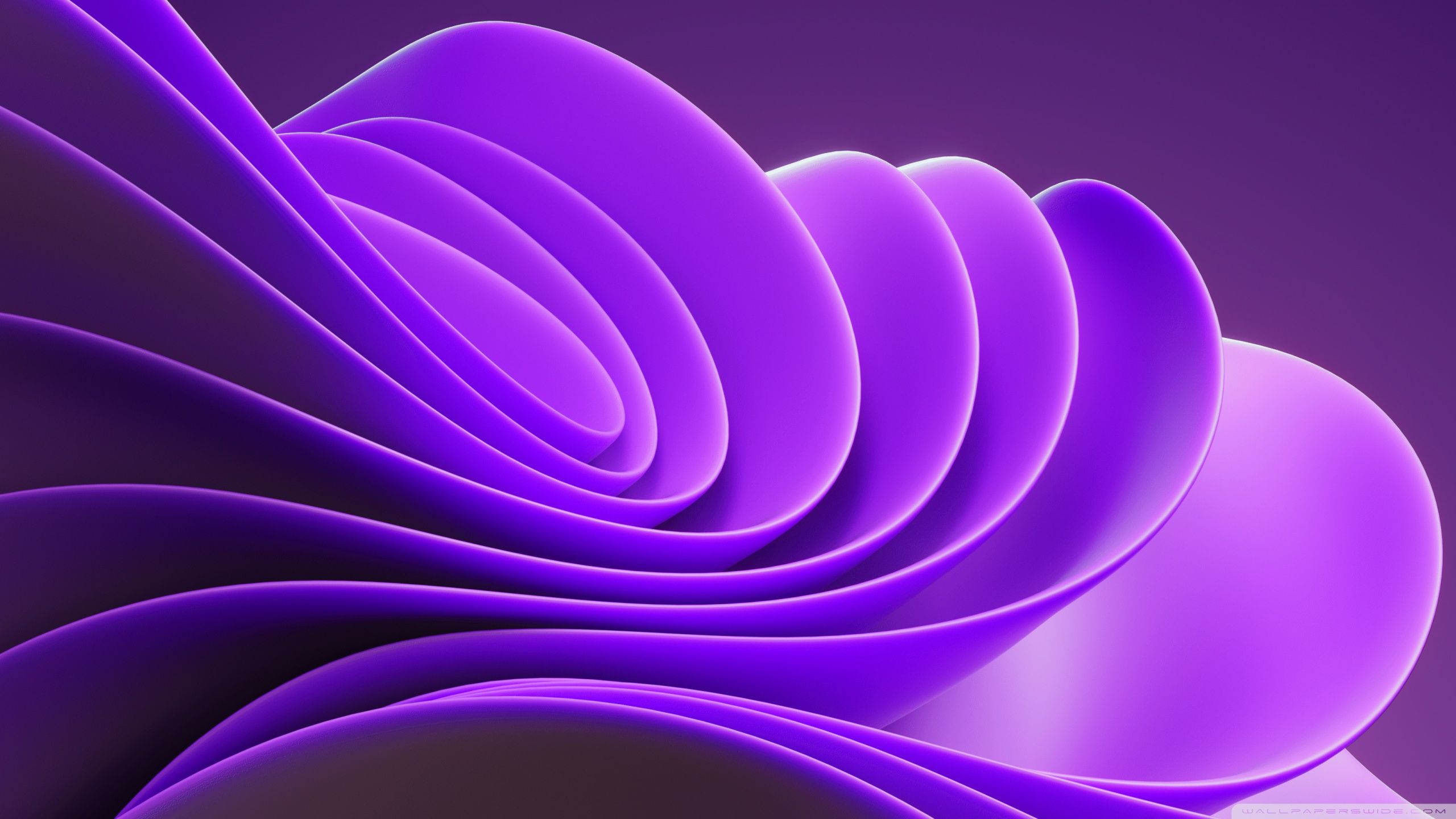 2560x1440 Purple Abstract Design 4K UHD Wallpaper for UltraHD Desktop and TV : Widescreen and UltraWide Display : Dual and Triple Monitor : Smartphone and Tablet Devices