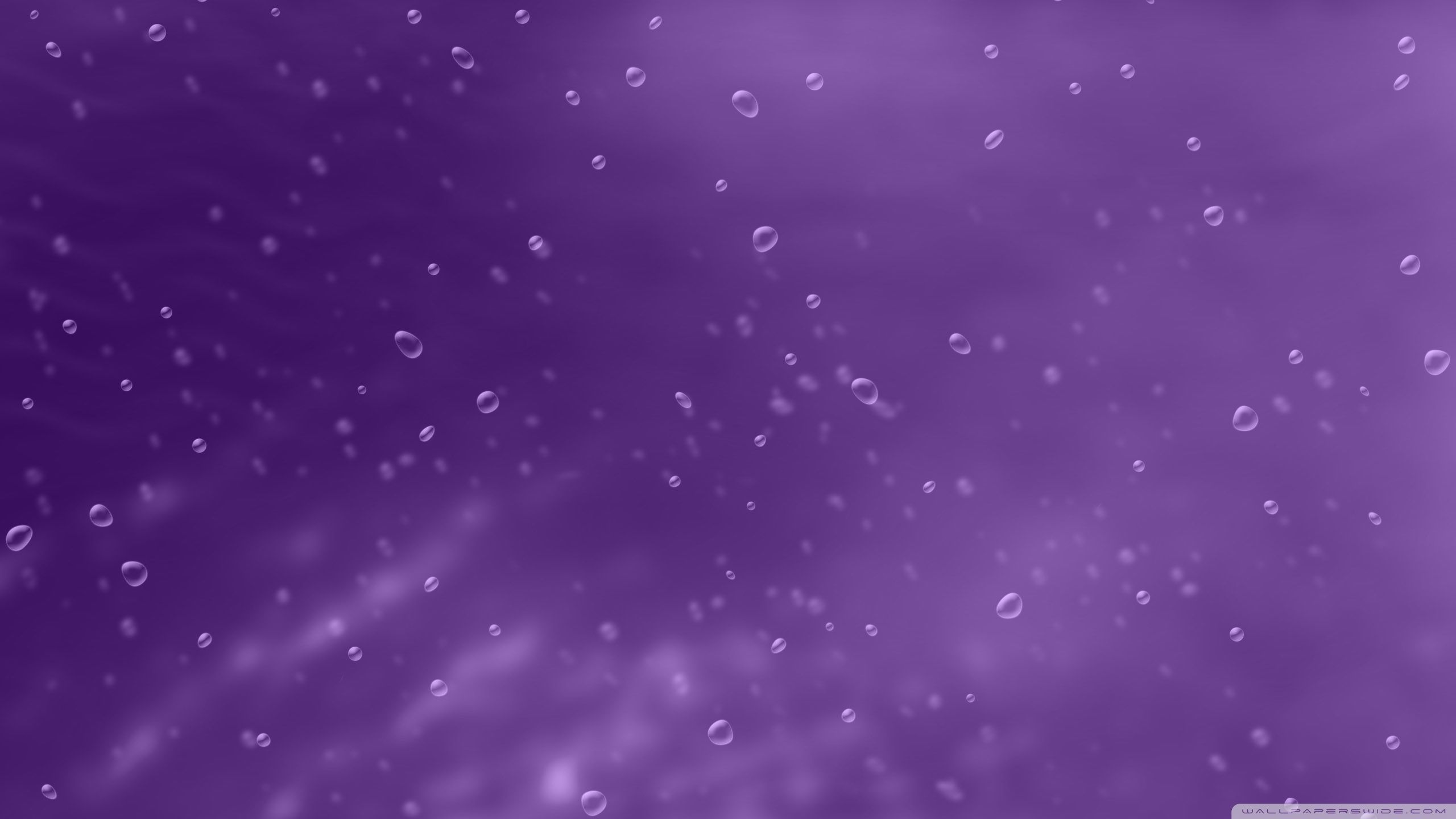 2560x1440 Purple Background With Bubbles 4K UHD Wallpaper for UltraHD Desktop and TV : Dual Monitor